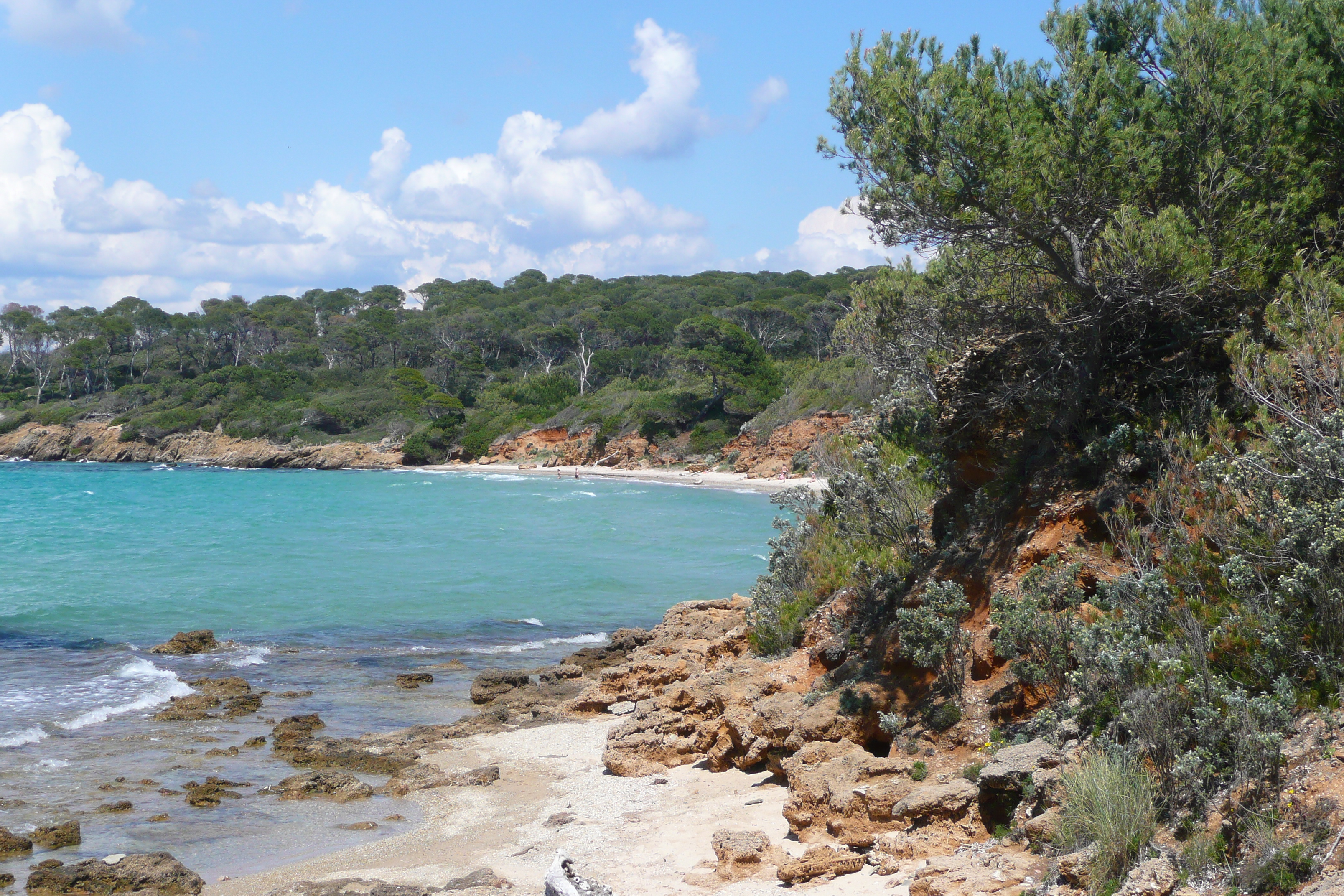 Photo France Ile de Porquerolles Plage de la Courtade 2008-05 65
