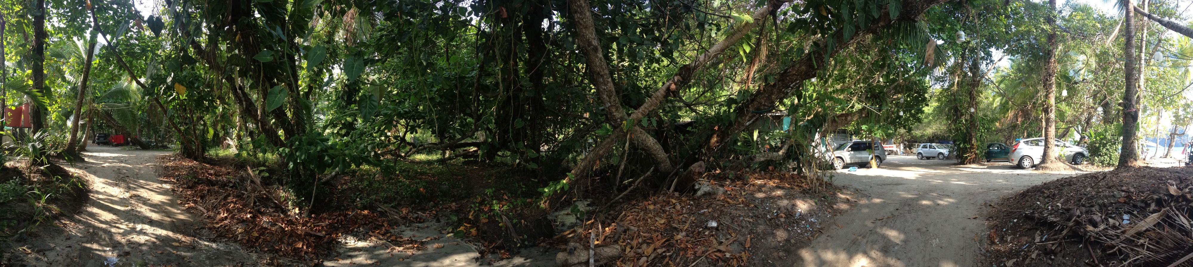 Photo Costa Rica Parc Manuel Antonio 2015-03 207