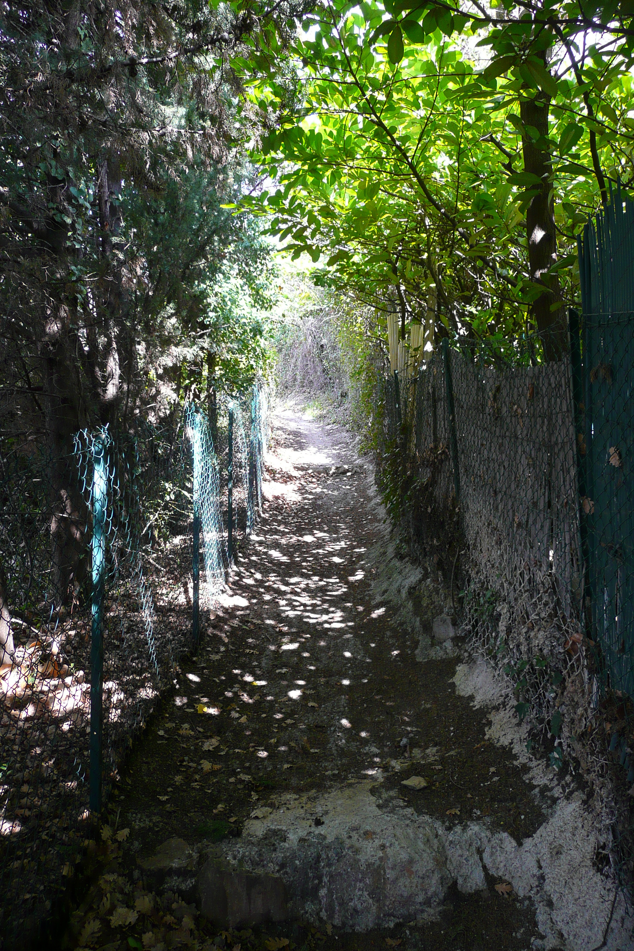 Photo France Vence Hauts de Vence 2008-03 6