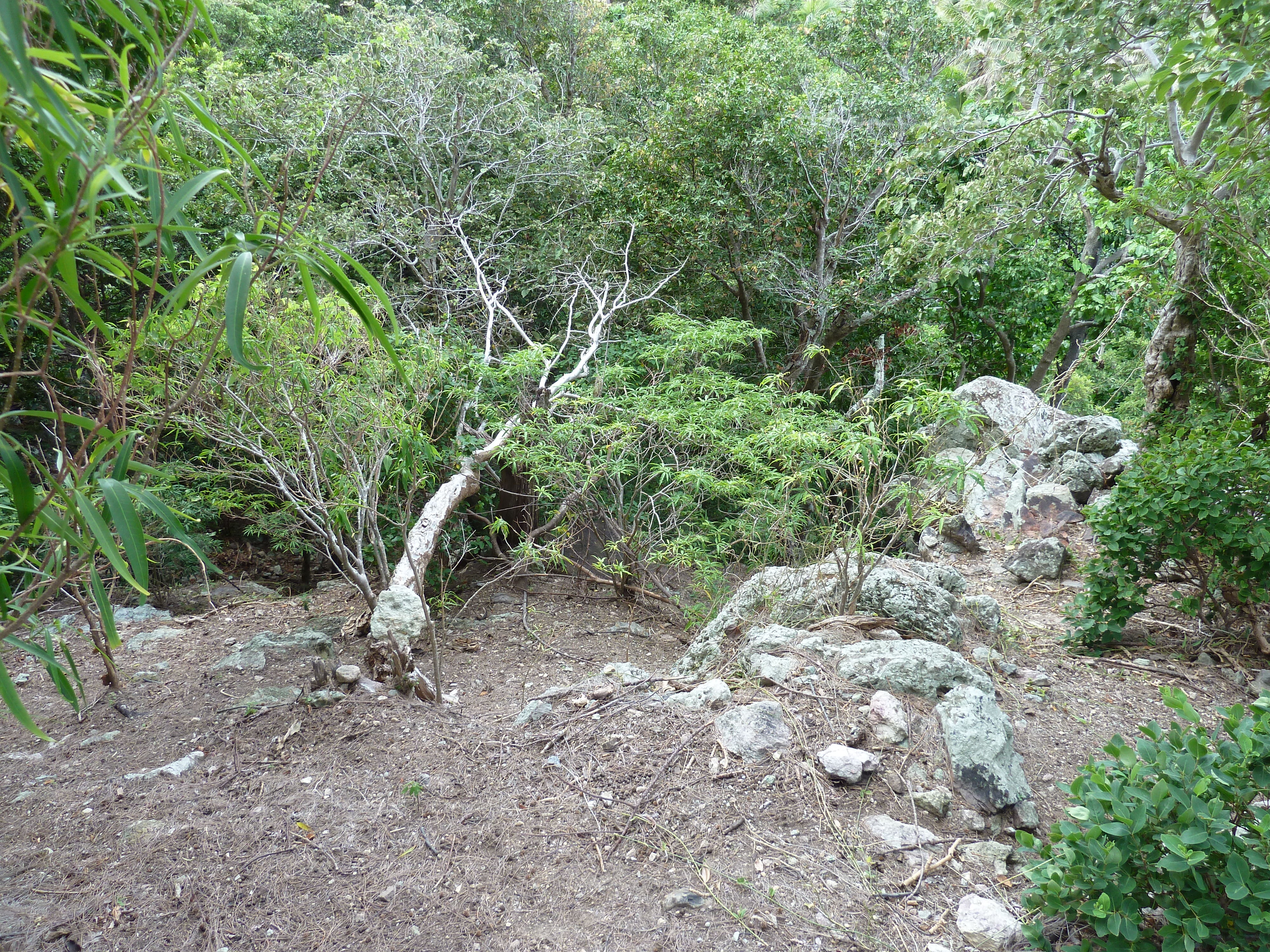 Photo Îles Fidji île Castaway(Seul au monde) 2010-05 18