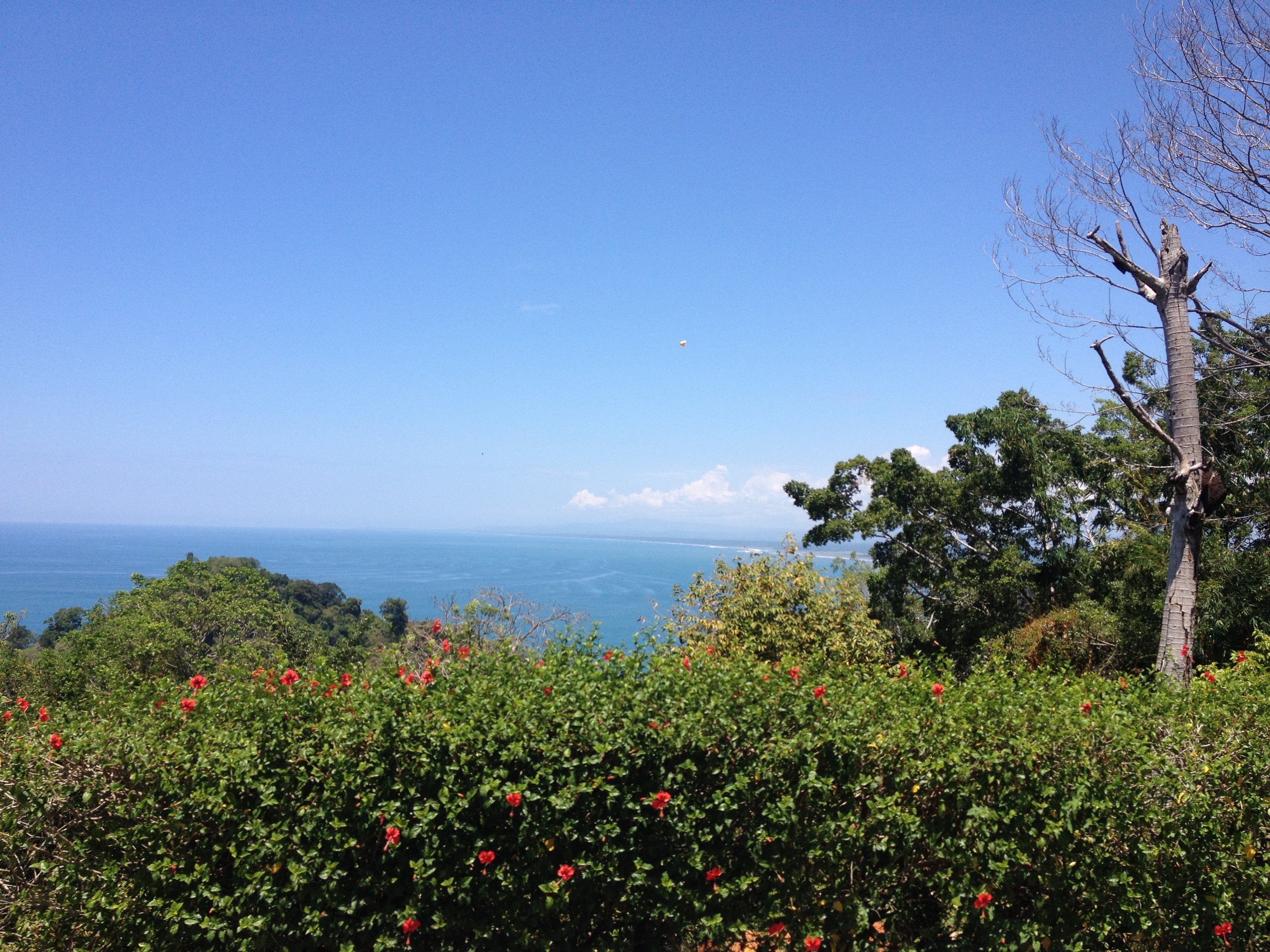 Photo Costa Rica Parc Manuel Antonio 2015-03 69