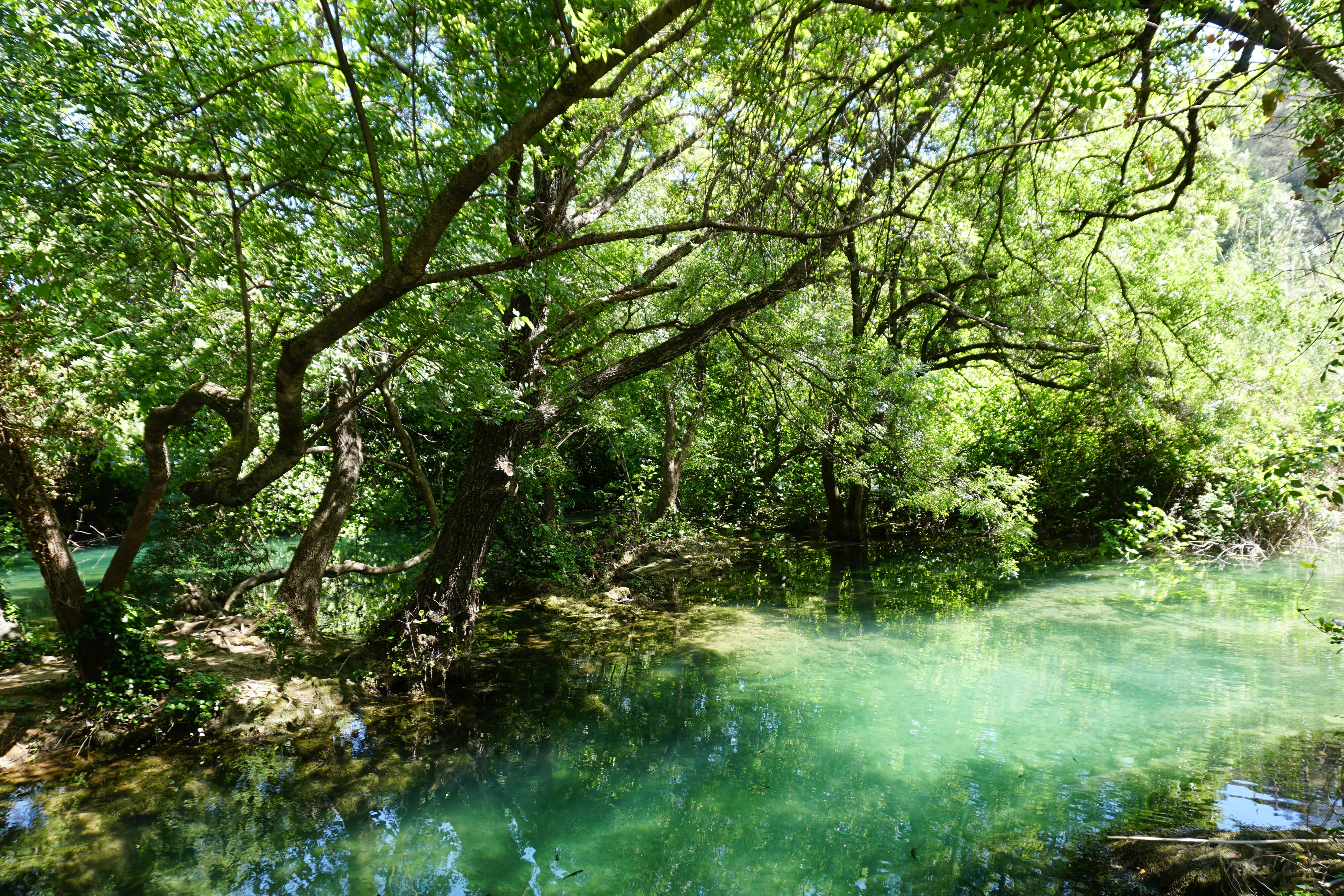 Photo Croatie Parc national KRKA 2016-04 153