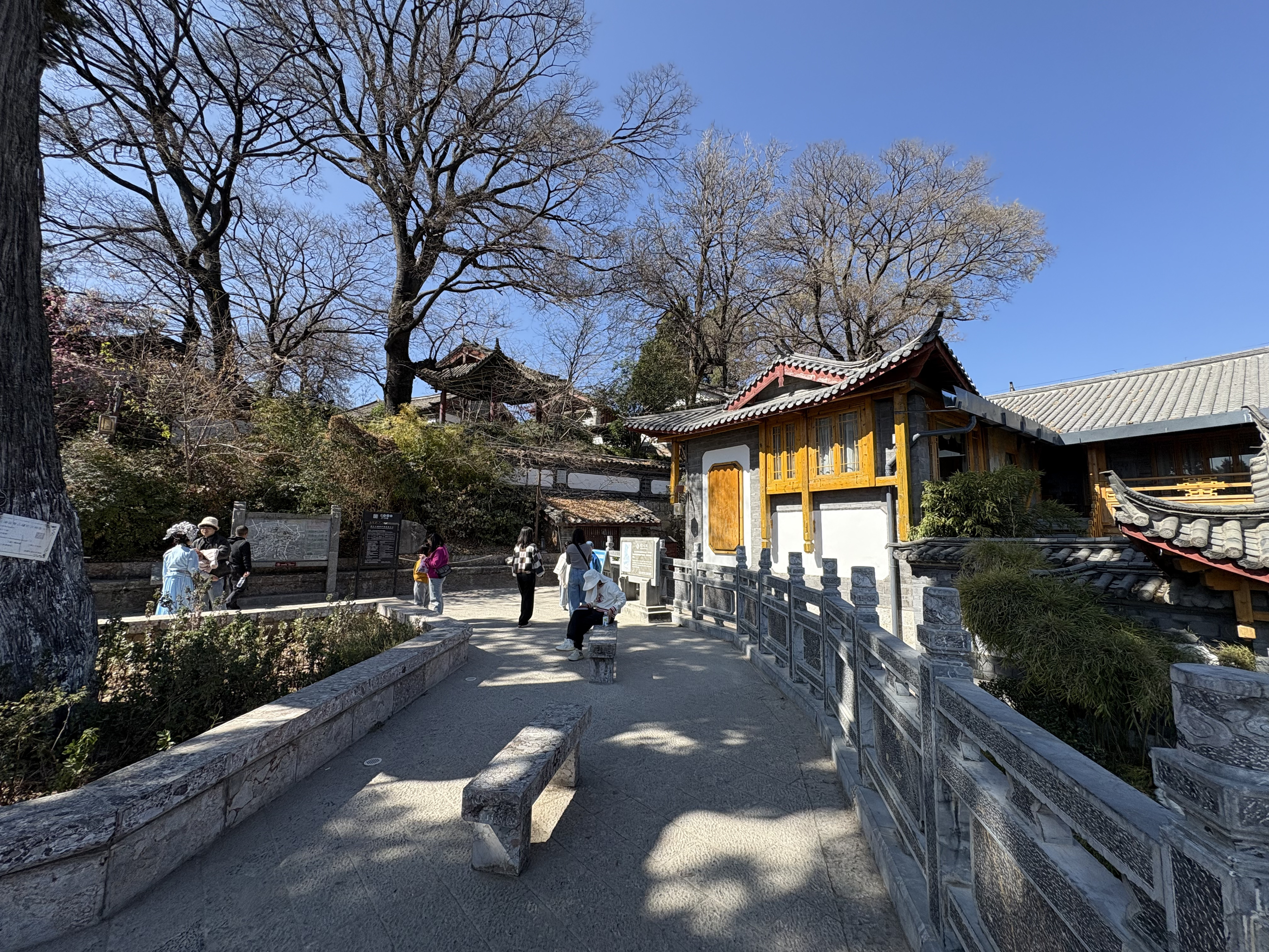 Photo Chine Lijiang 2026-01 303