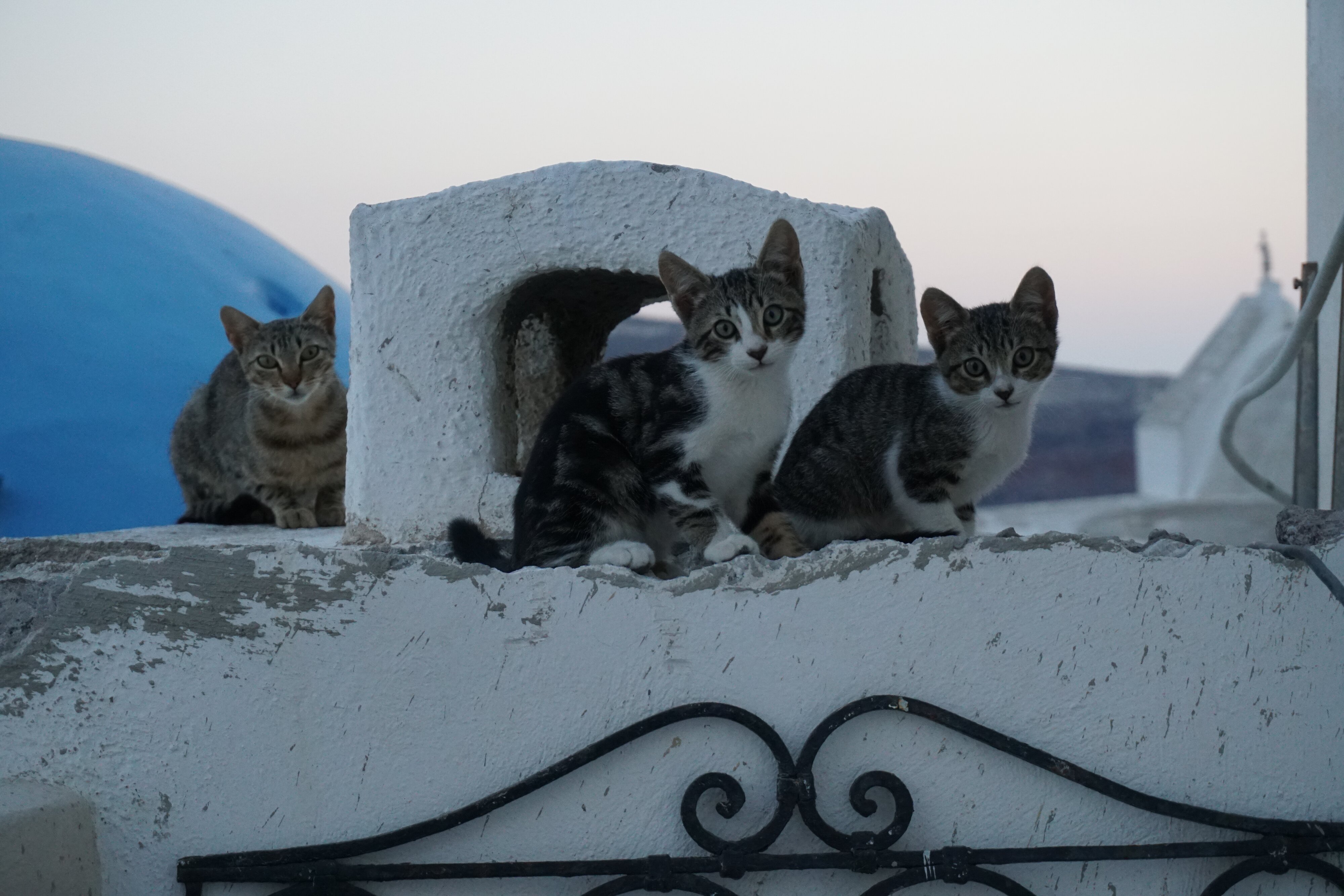 Photo Grèce Santorin 2016-07 77