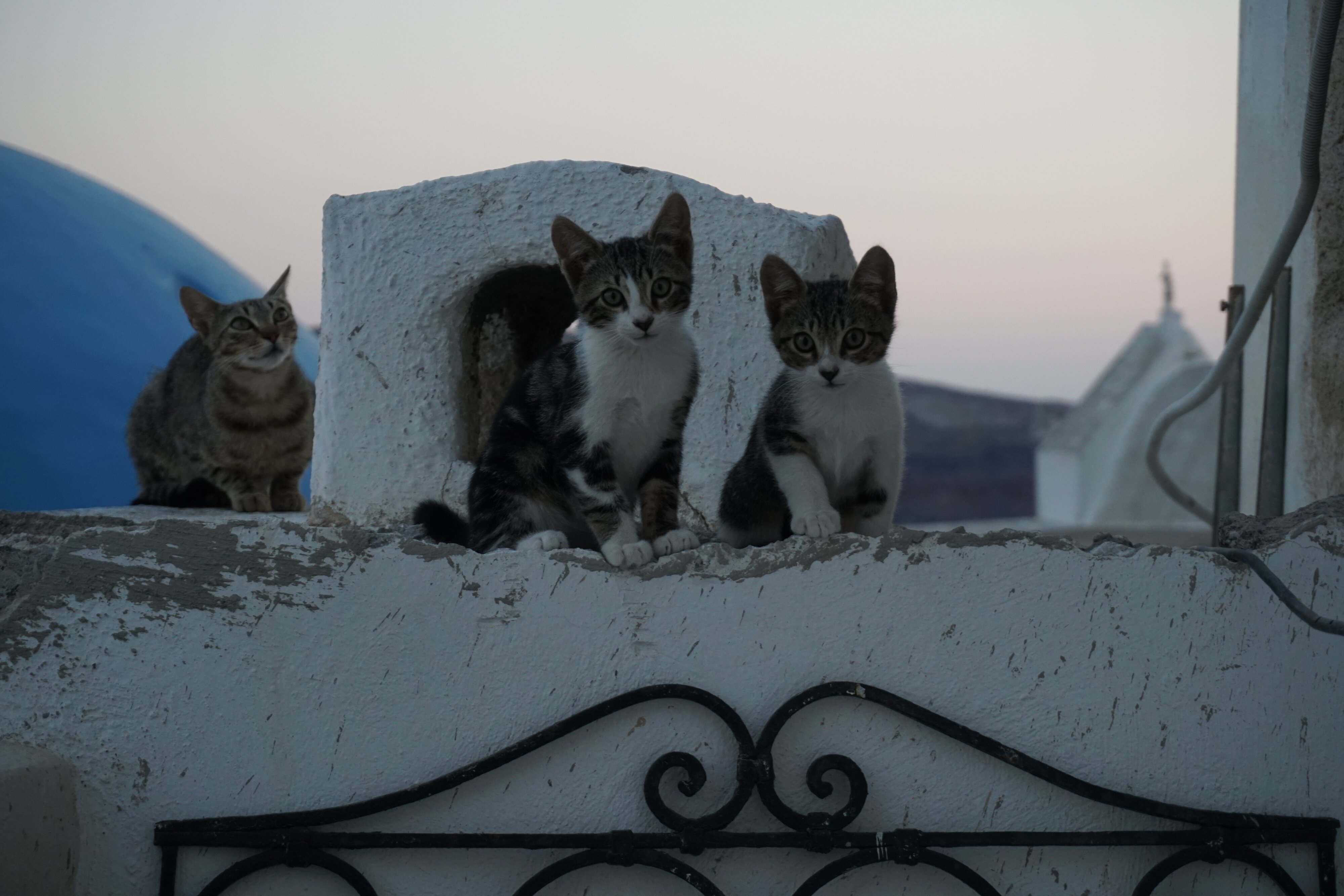 Photo Grèce Santorin Oia cave house 2016-07 12