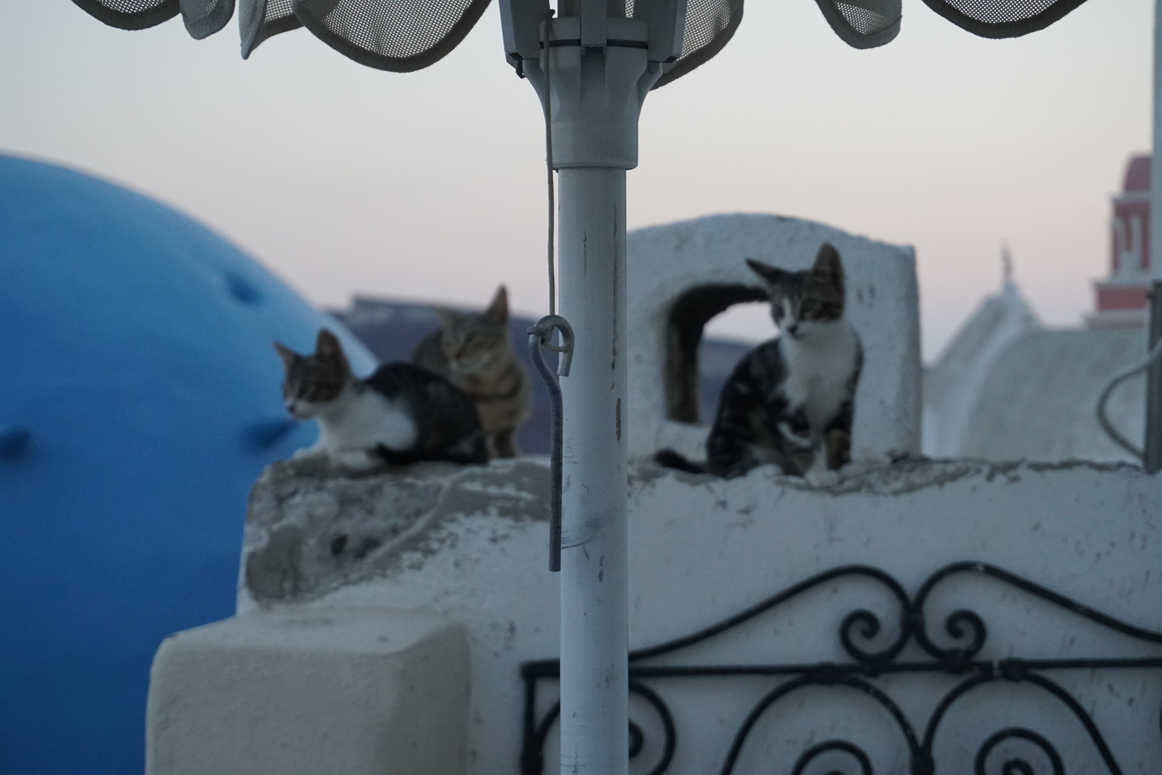 Photo Grèce Santorin Oia cave house 2016-07 22