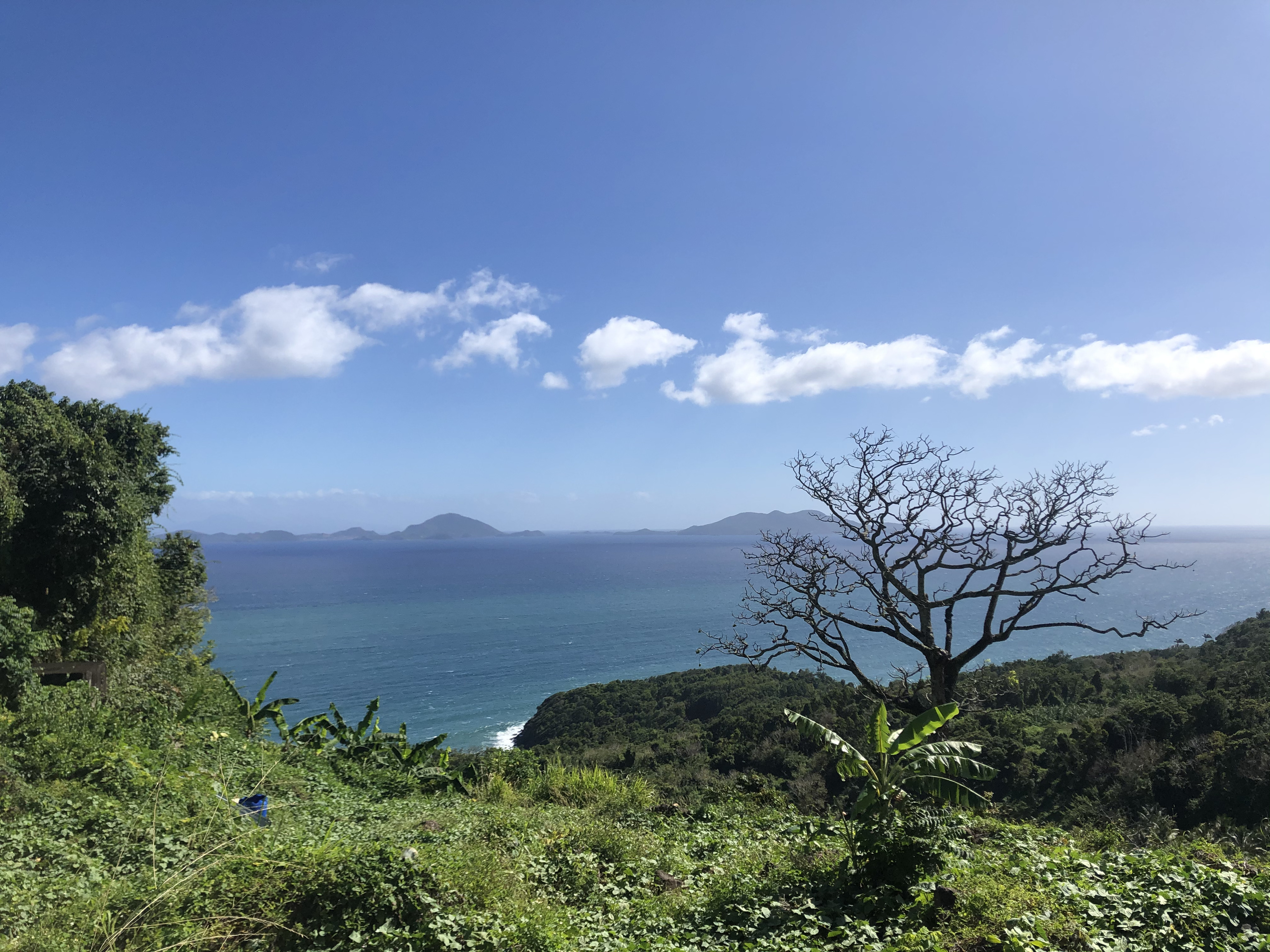 Photo Guadeloupe Trois Rivières 2021-02 11