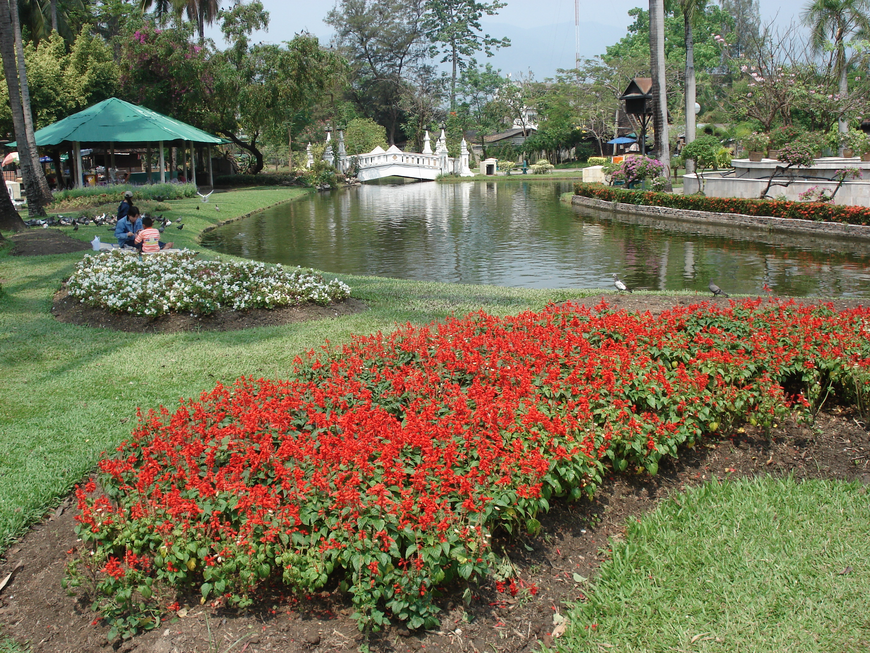 Photo Thaïlande Chiang Mai Centre(intra Canal) Jardin Buak Had 2006-04 4