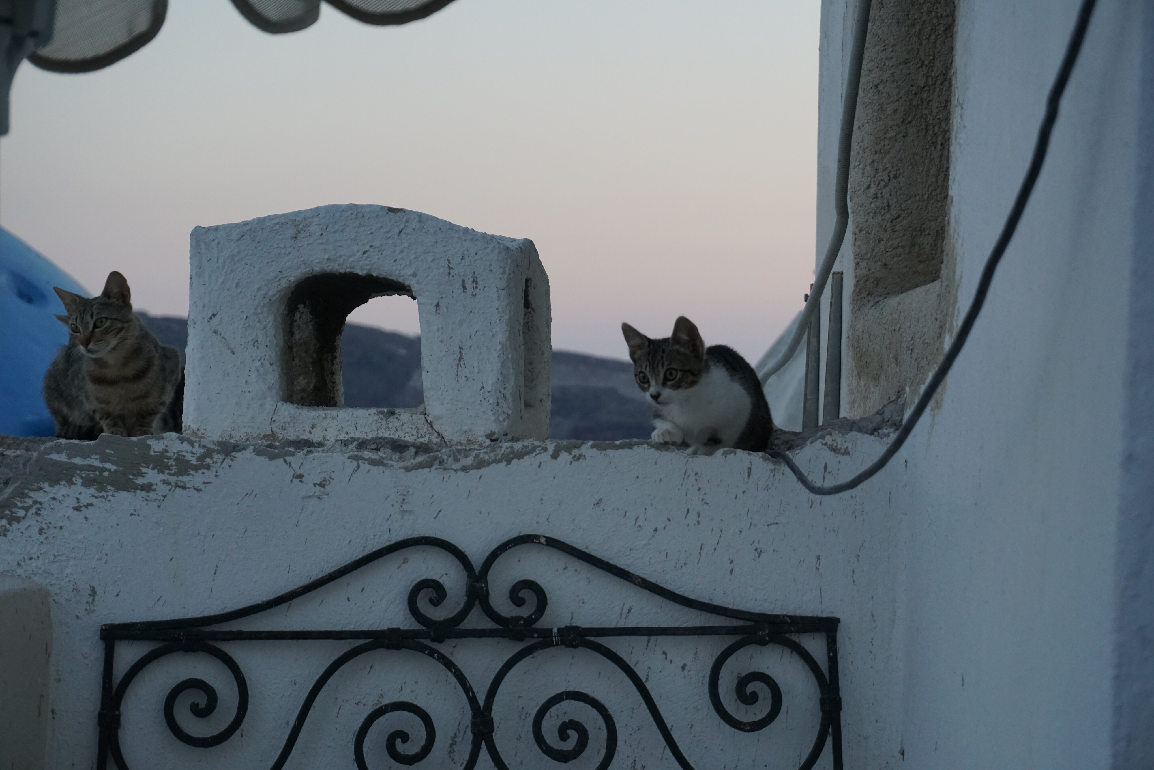Photo Grèce Santorin Oia cave house 2016-07 18
