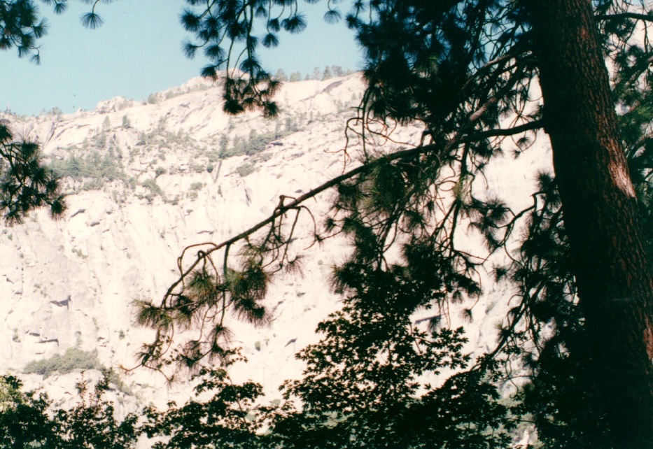 Photo États-Unis Parc National de Yosemite 1992-08 12