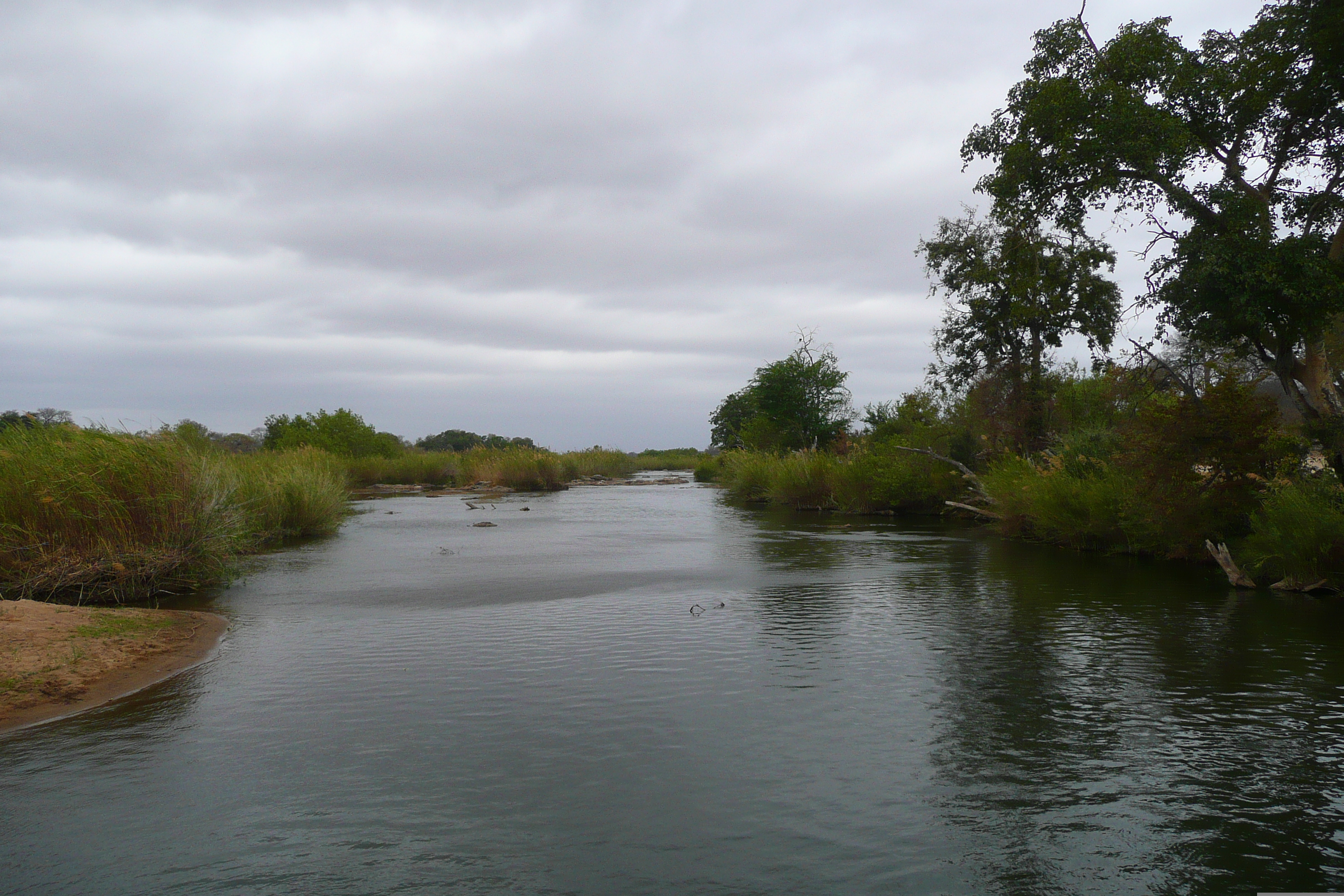 Photo Afrique du Sud Parc National Kruger Rivière Sable 2008-09 28
