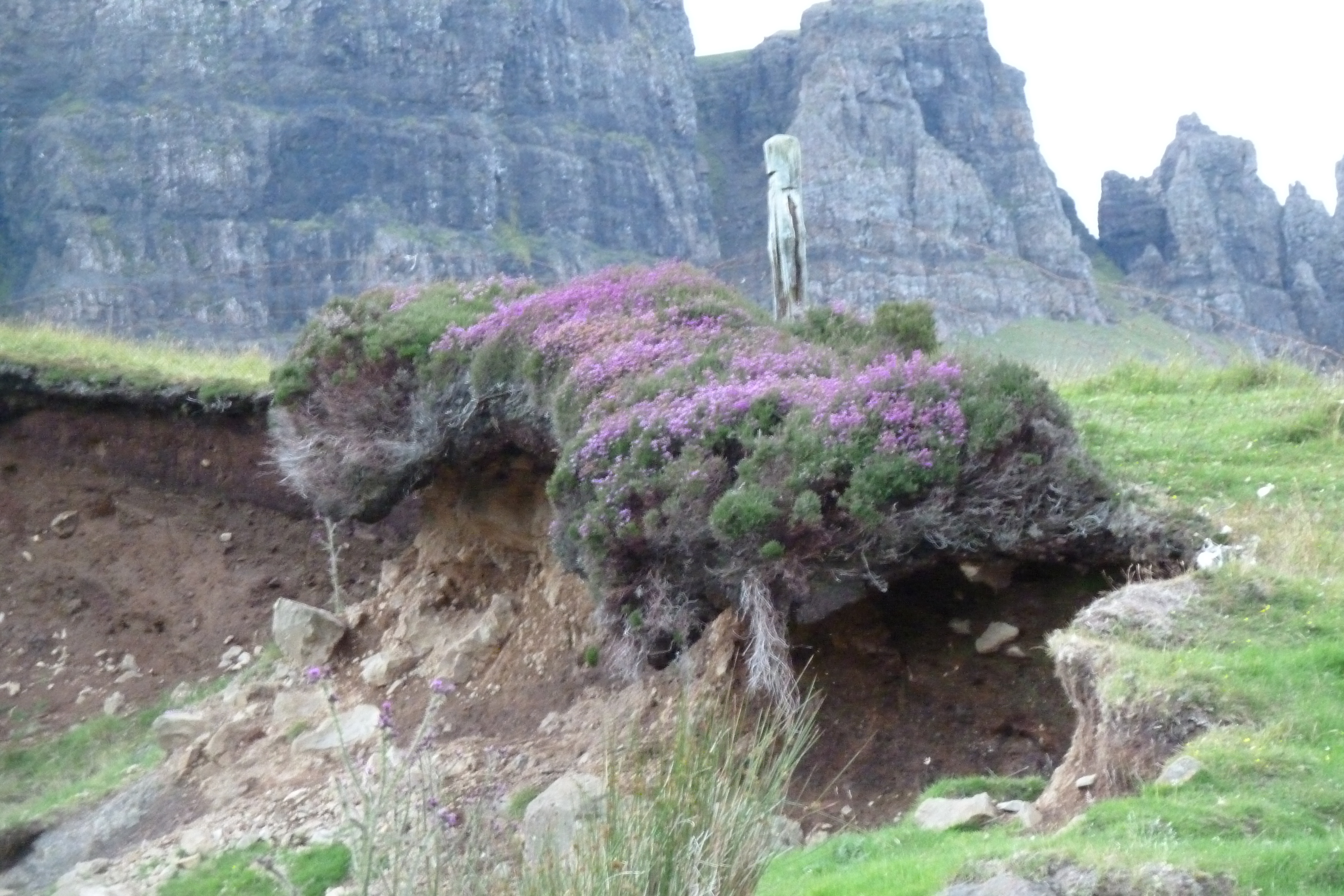 Photo Royaume-Uni Skye 2011-07 252