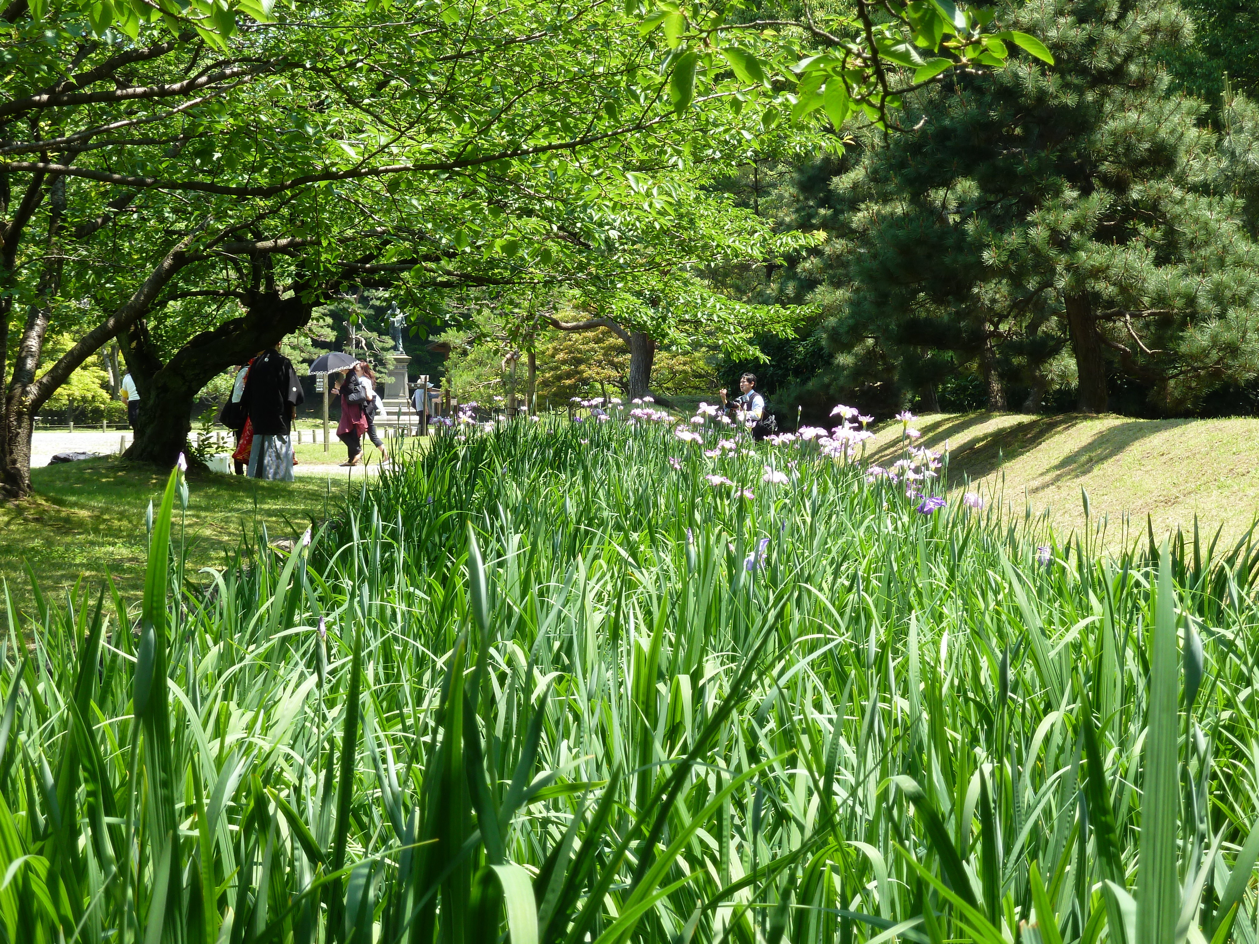 Photo Japon Tokyo Jardins Hama rikyu 2010-06 110
