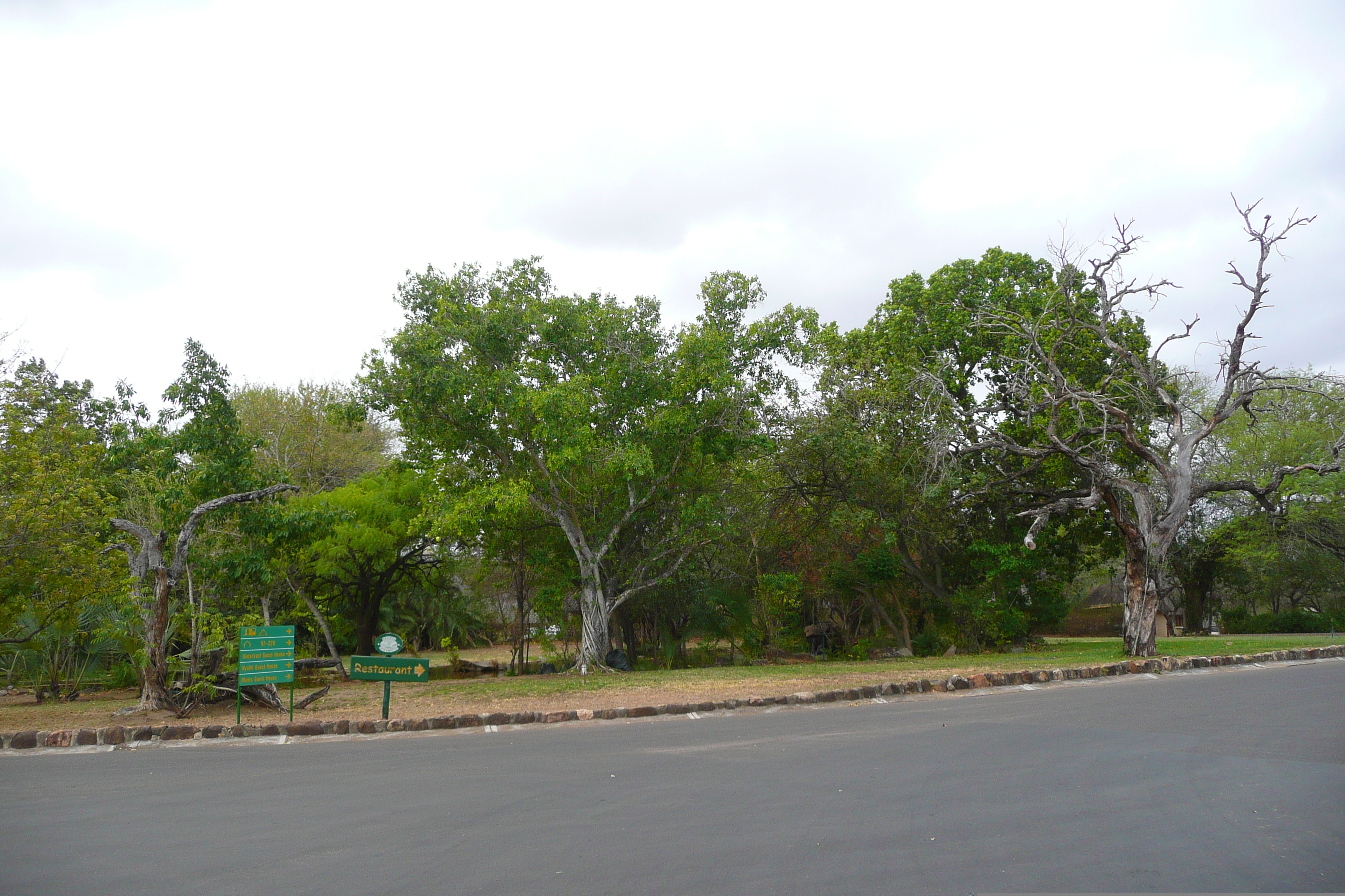 Photo Afrique du Sud Parc National Kruger 2008-09 6