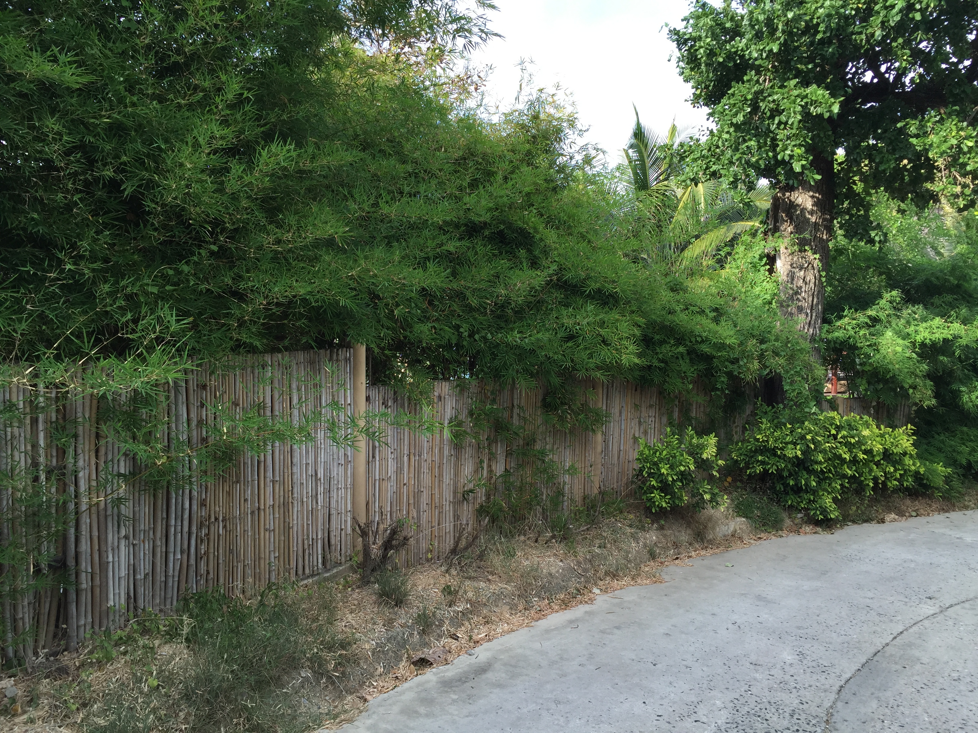 Photo Thaïlande Ko Samet 2014-12 301