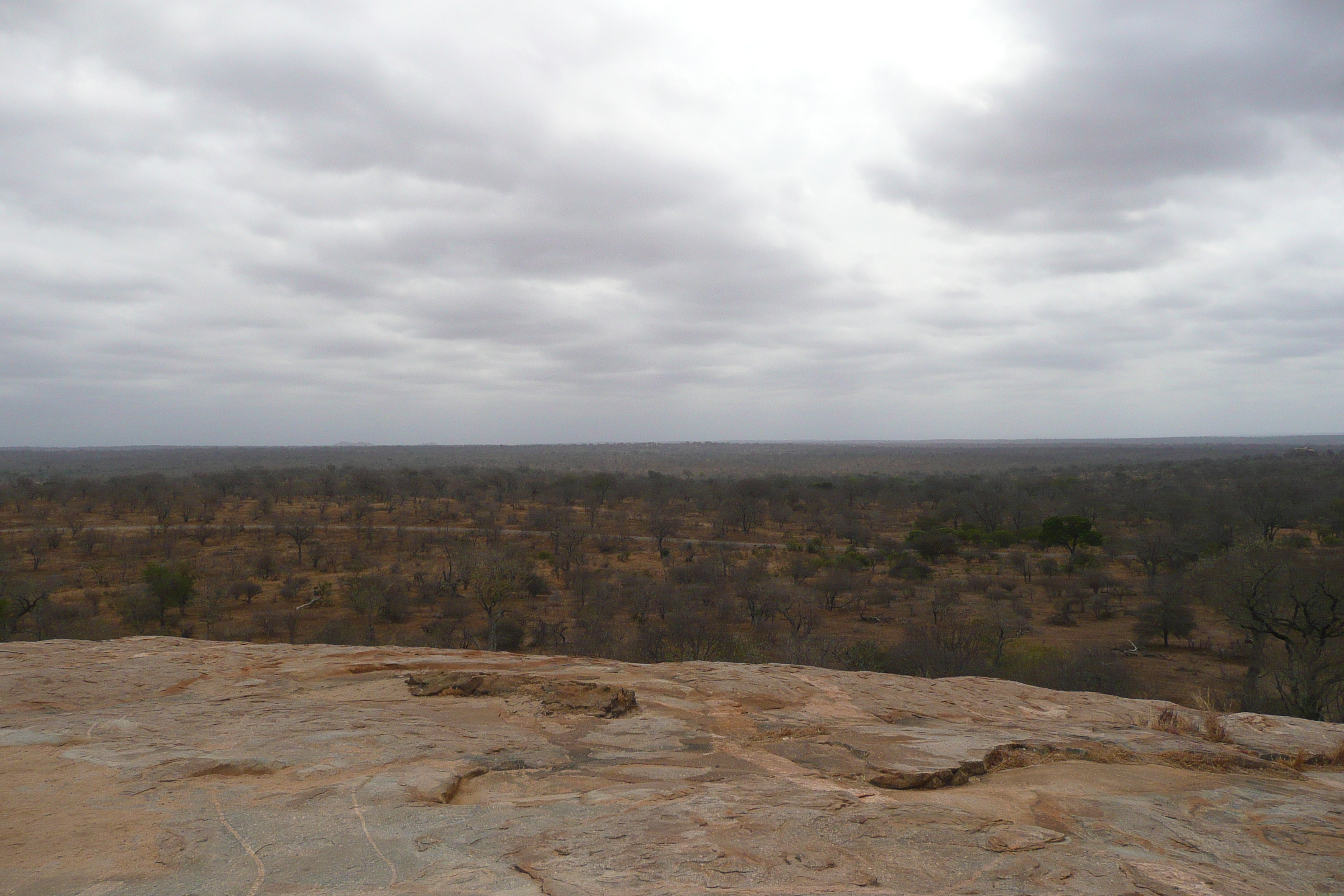 Photo Afrique du Sud Parc National Kruger 2008-09 185