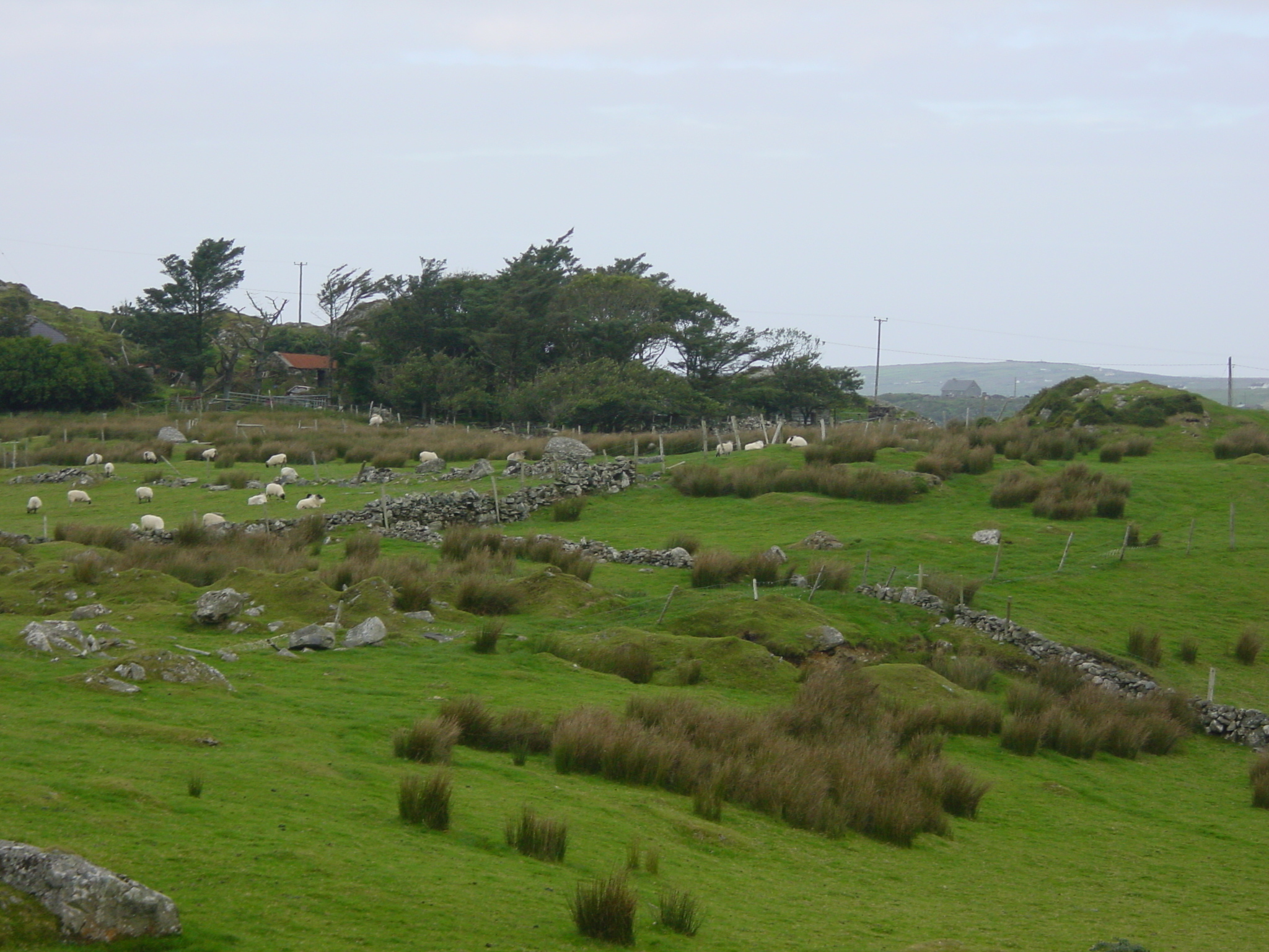 Photo Irlande Connemara 2003-09 69