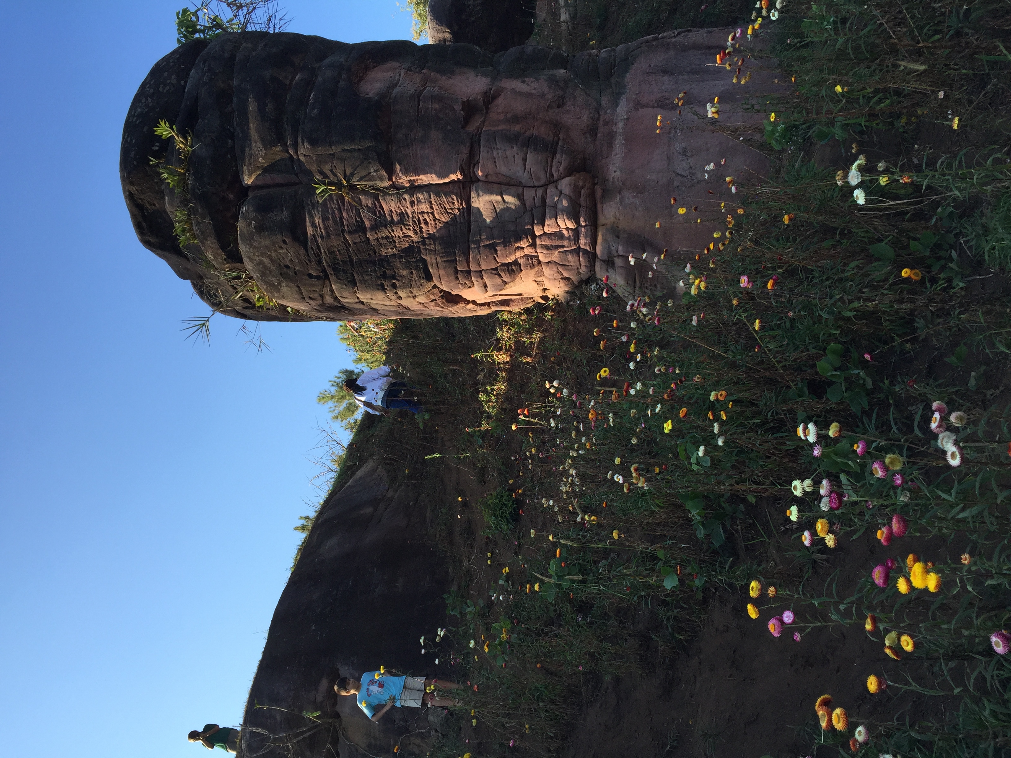 Photo Thaïlande Parc National Phu Hin Rong Kla 2014-12 338