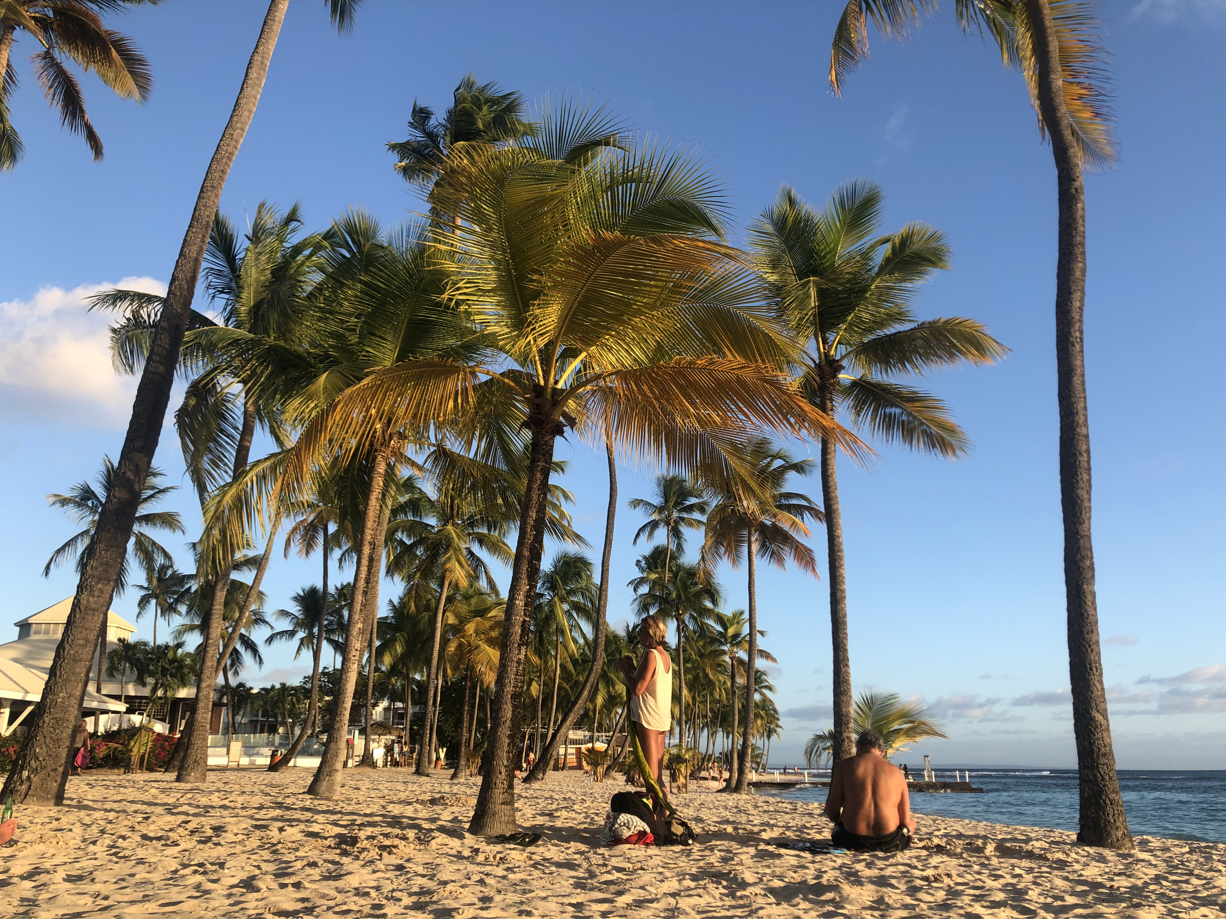 Photo Guadeloupe Plage de la Caravelle 2021-02 148