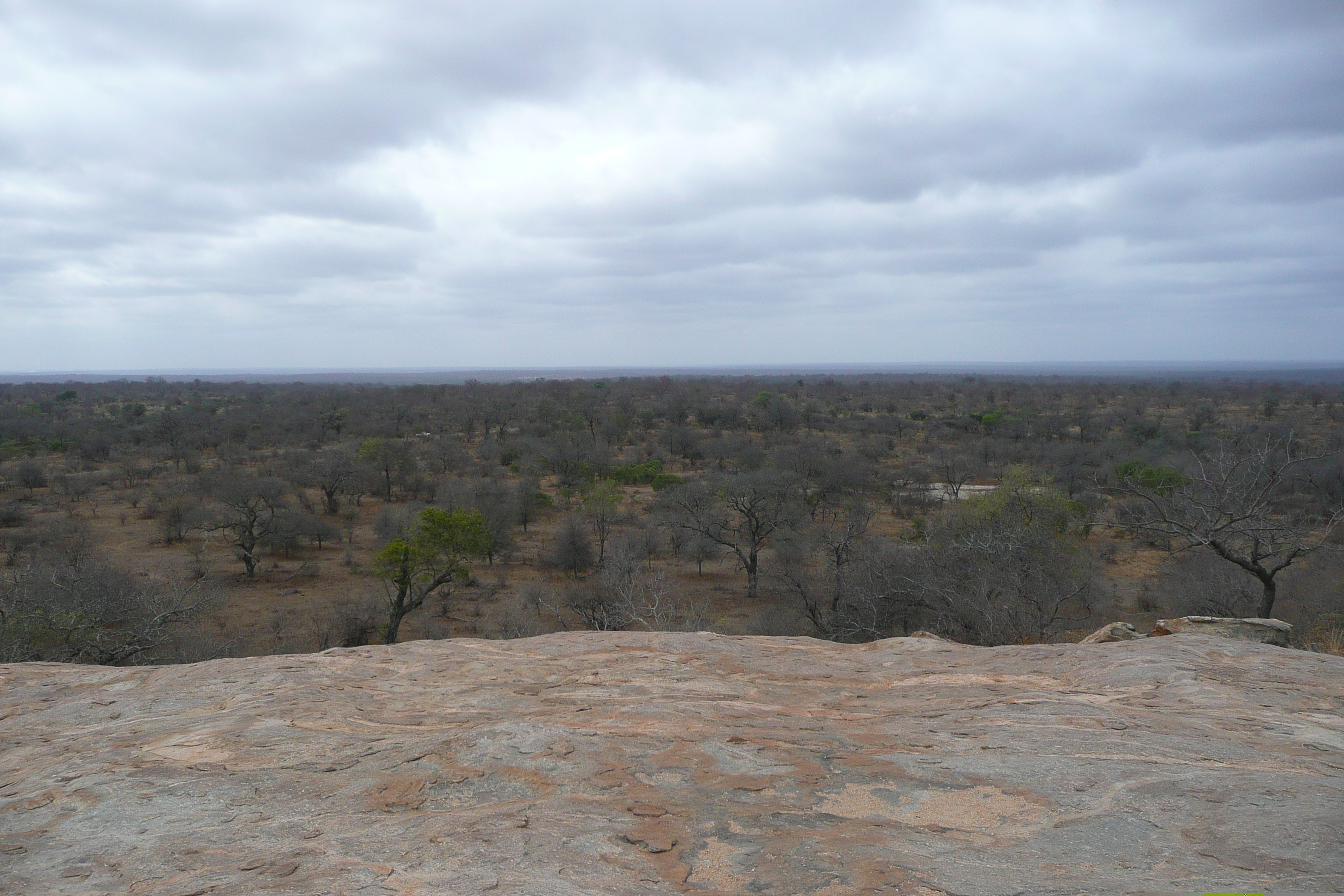 Photo Afrique du Sud Parc National Kruger 2008-09 11