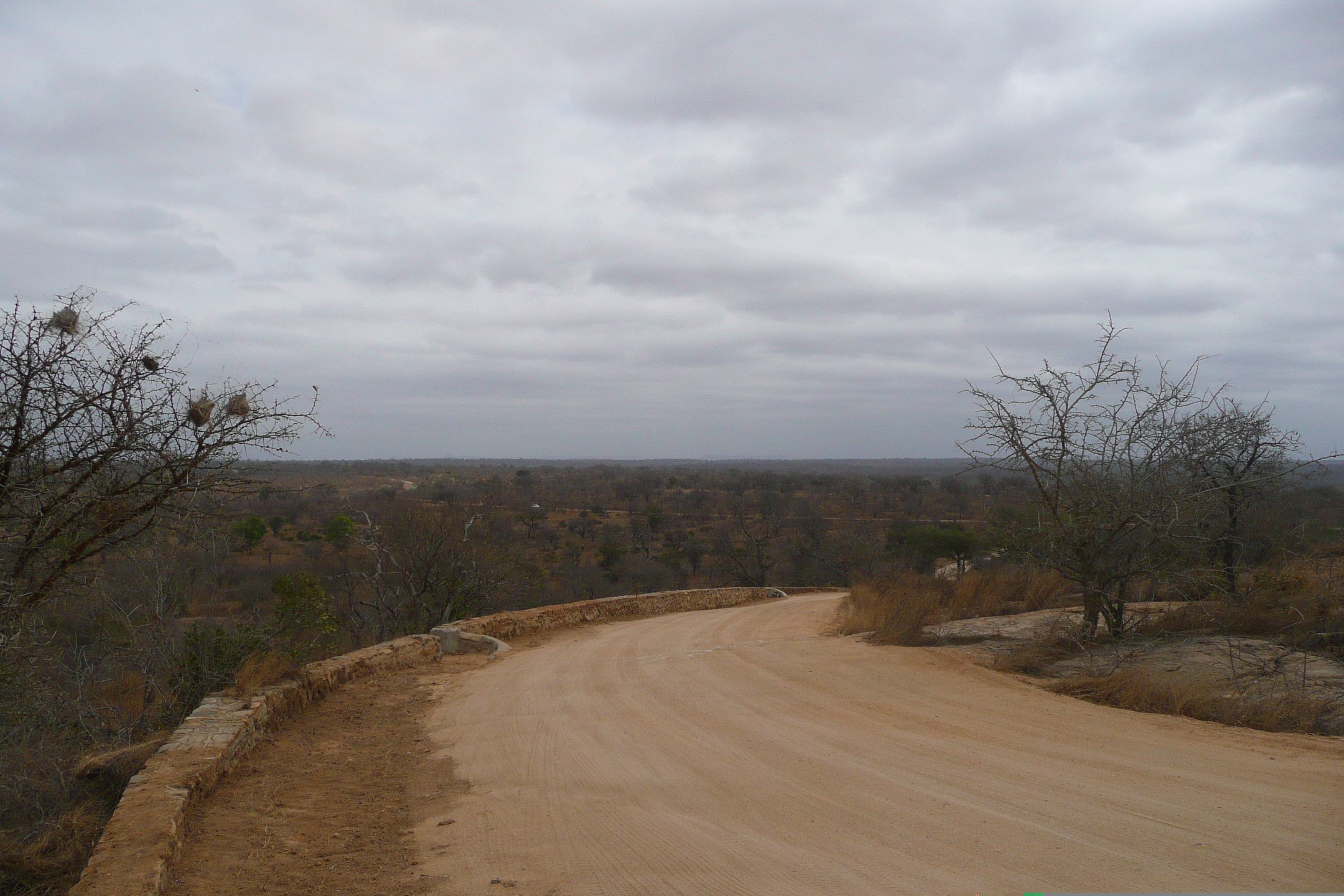Photo Afrique du Sud Parc National Kruger 2008-09 16