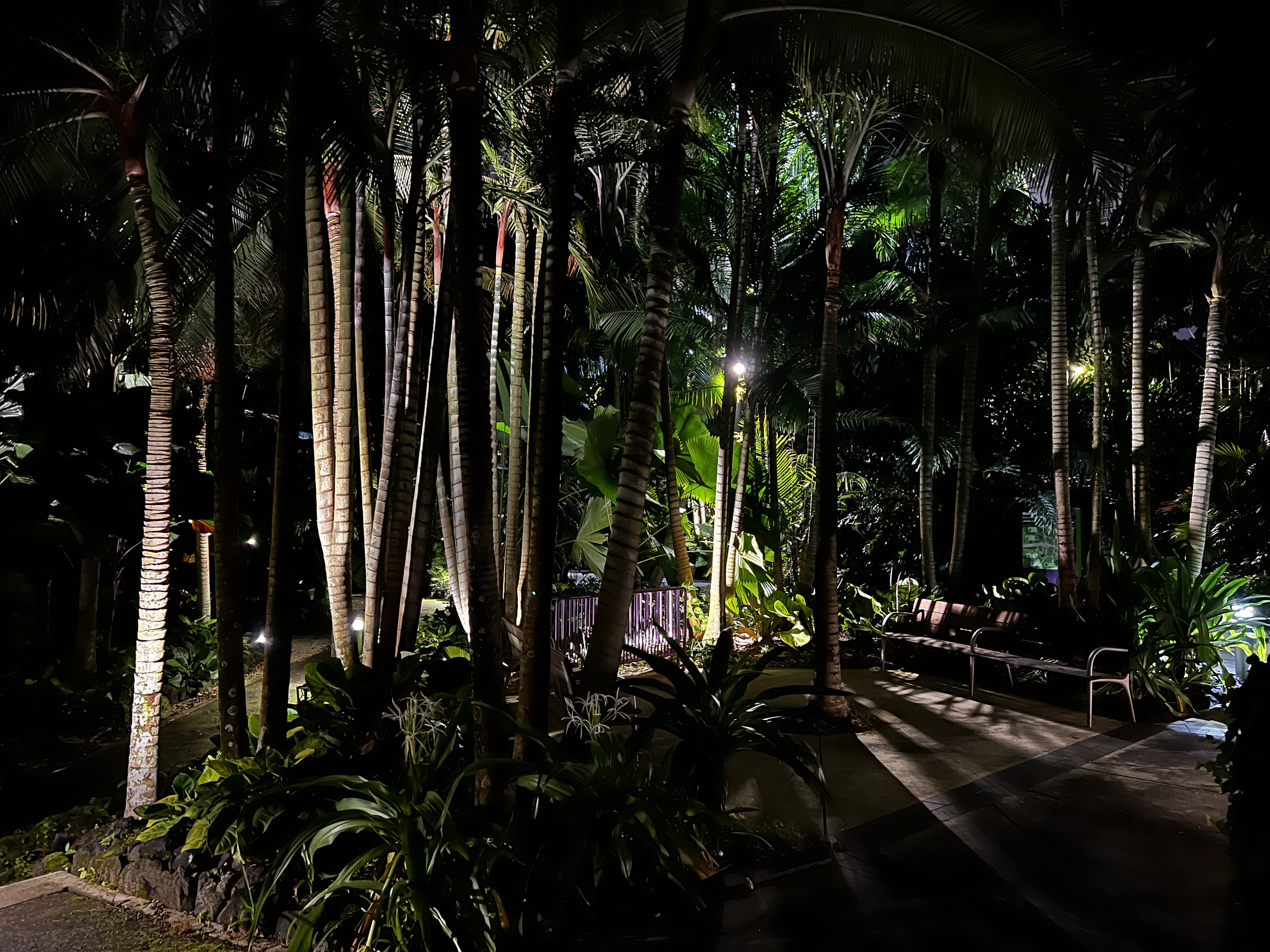 Photo Singapour Garden by the bay 2023-01 54