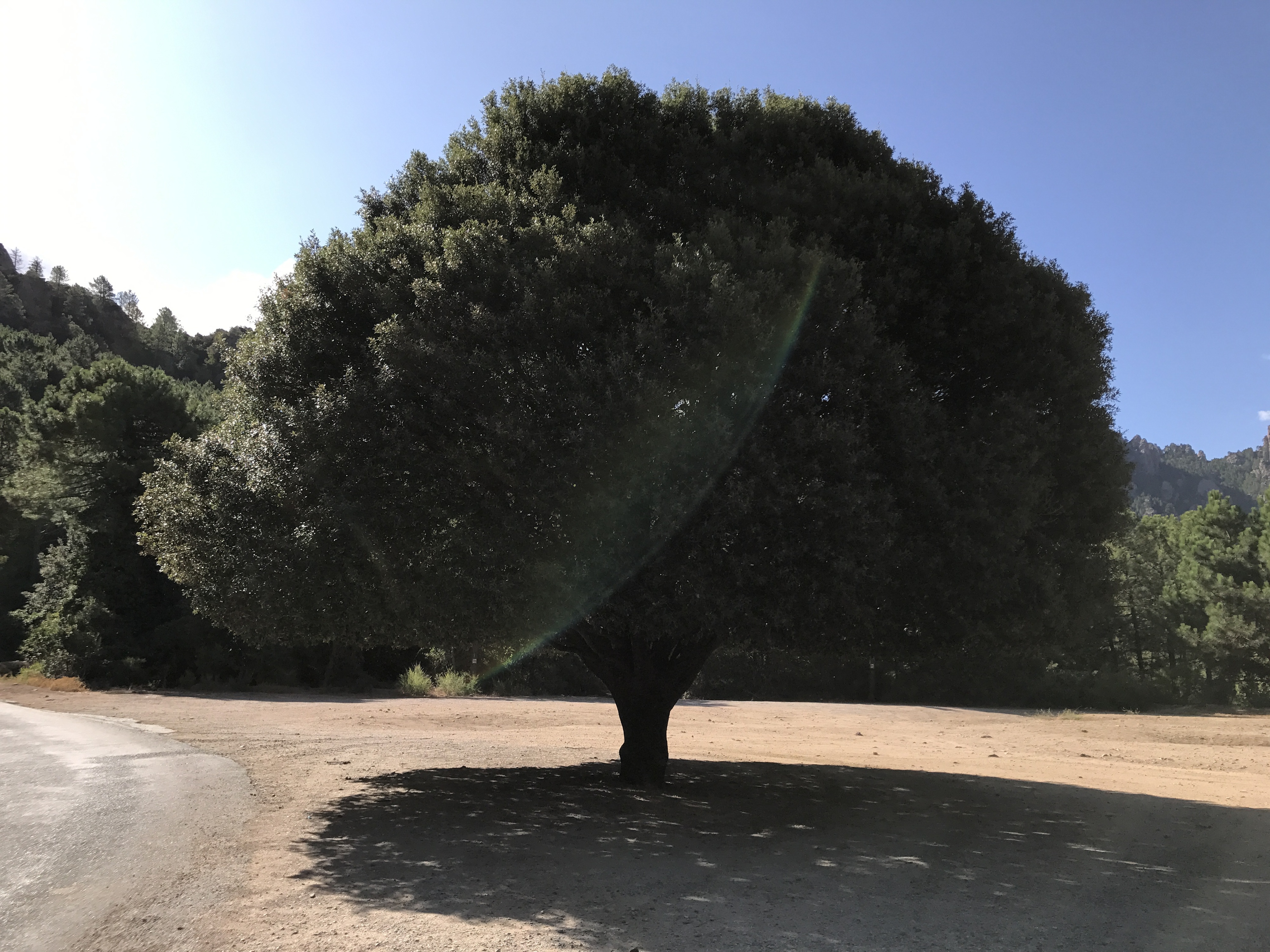 Photo France Corse Quenza 2017-09 5