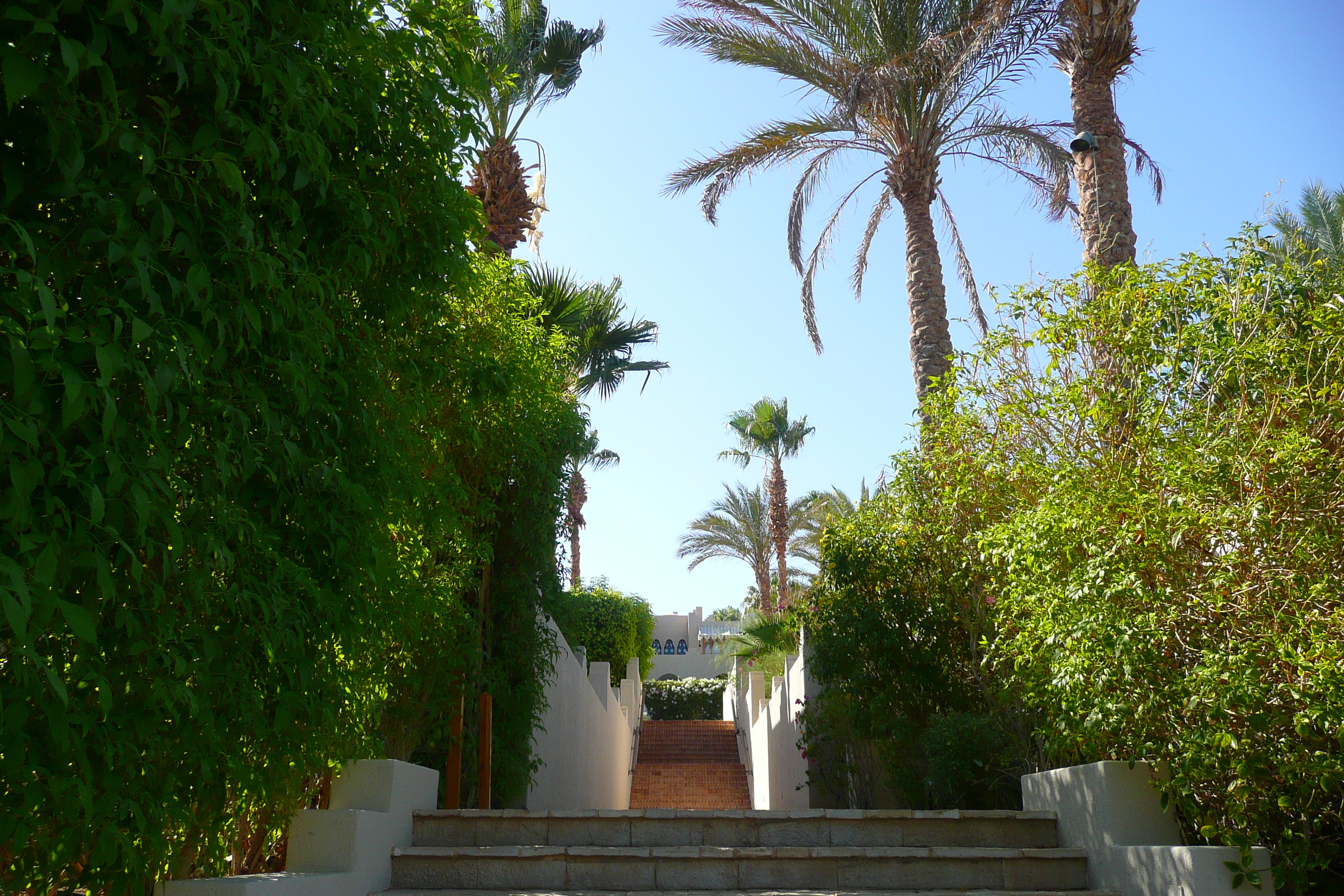 Photo Égypte Sharm el Sheikh Hotel Four Seasons 2008-06 19