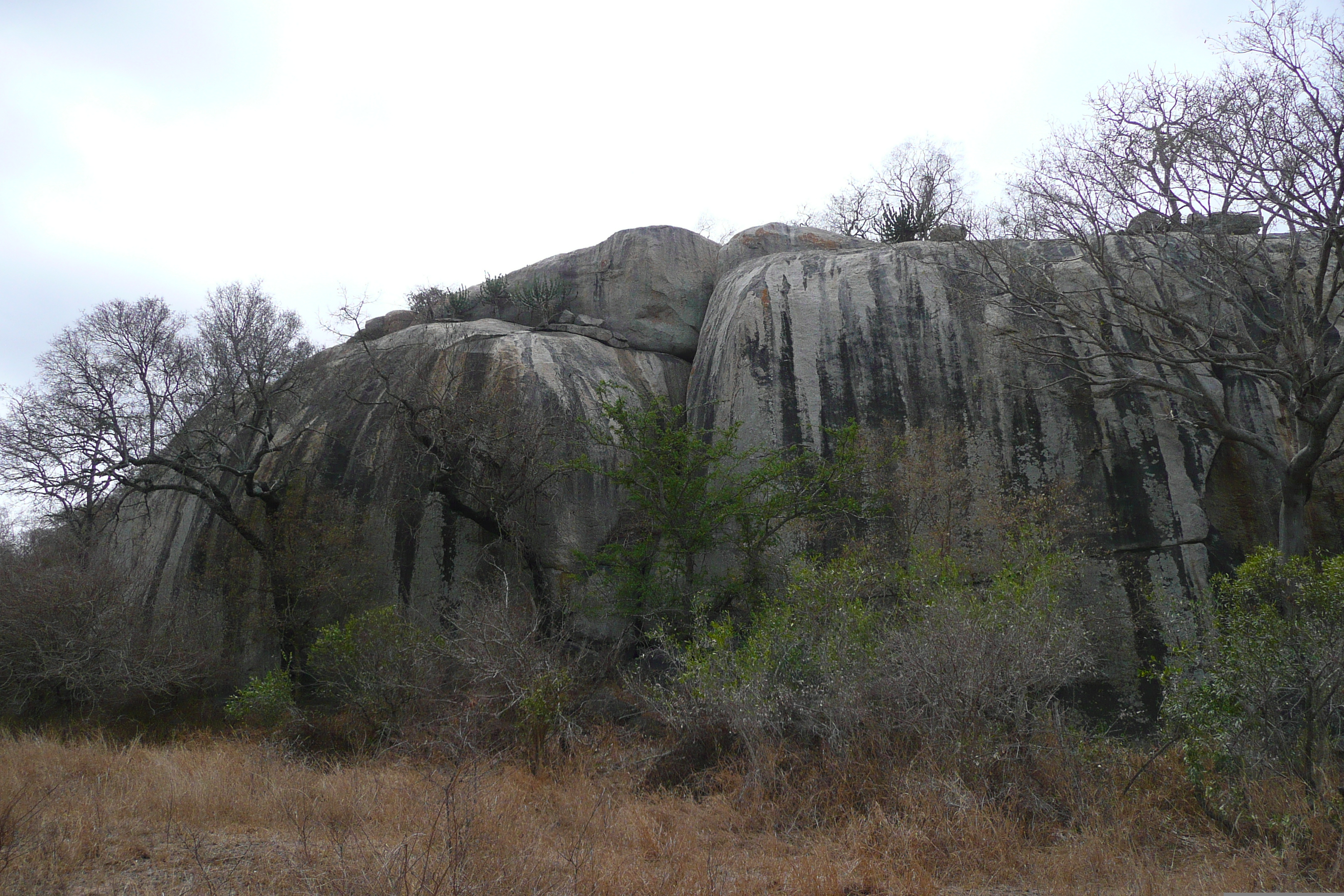 Photo Afrique du Sud Parc National Kruger 2008-09 19
