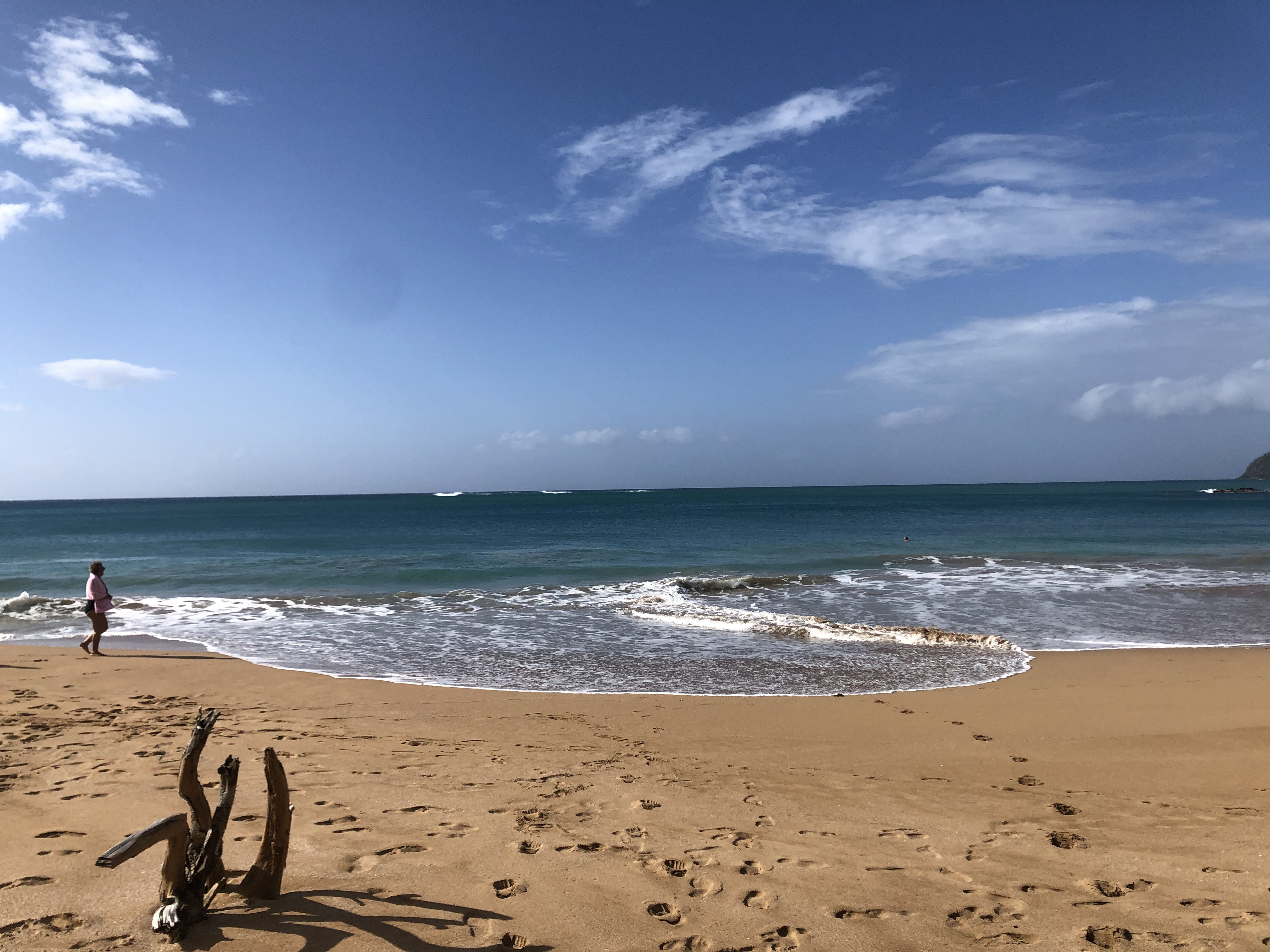 Photo Guadeloupe Plage de la Perle 2021-02 95