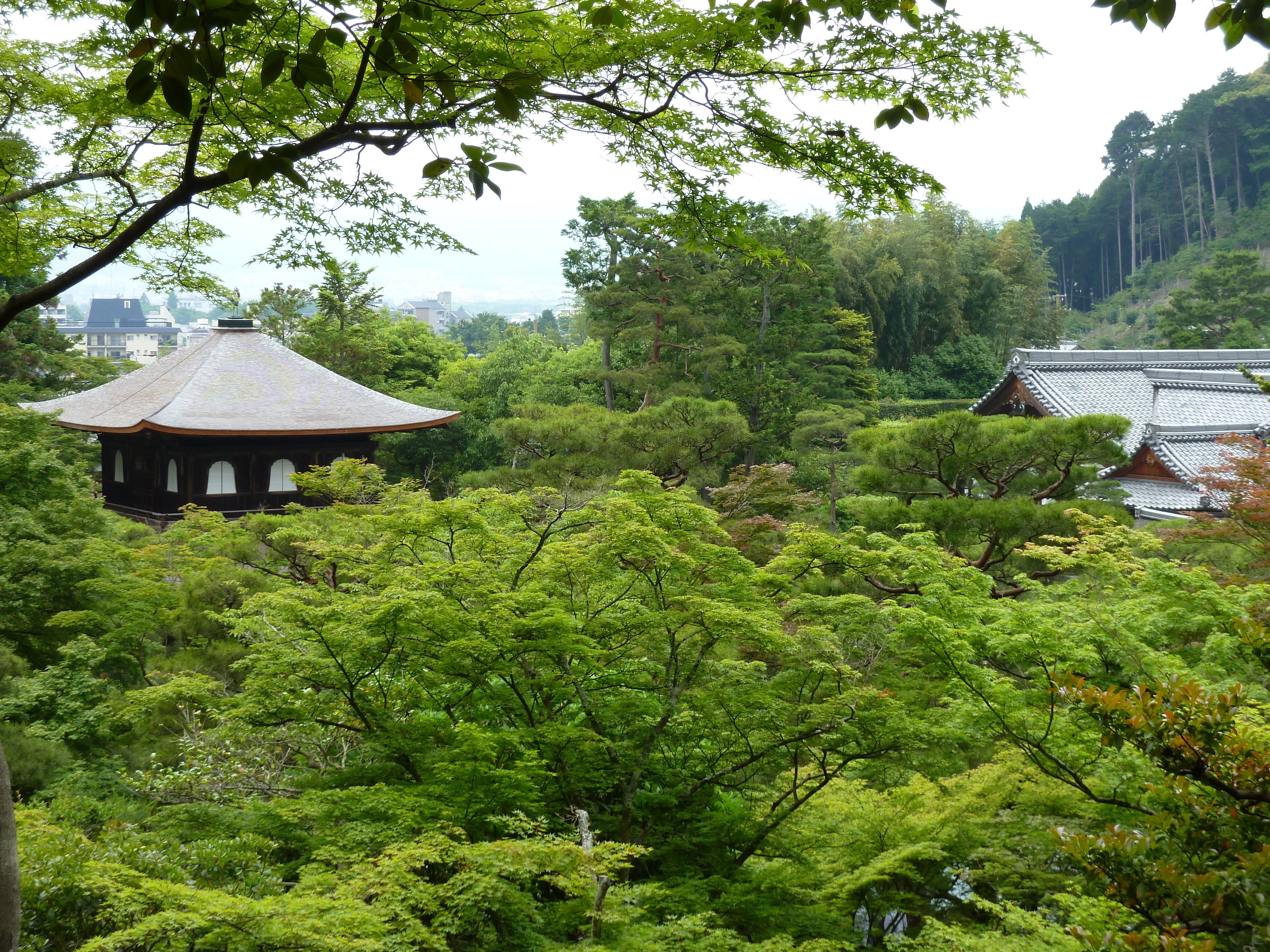 Photo Japon Kyoto Temple Ginkaku-ji (Pavillon d'argent) 2010-06 9