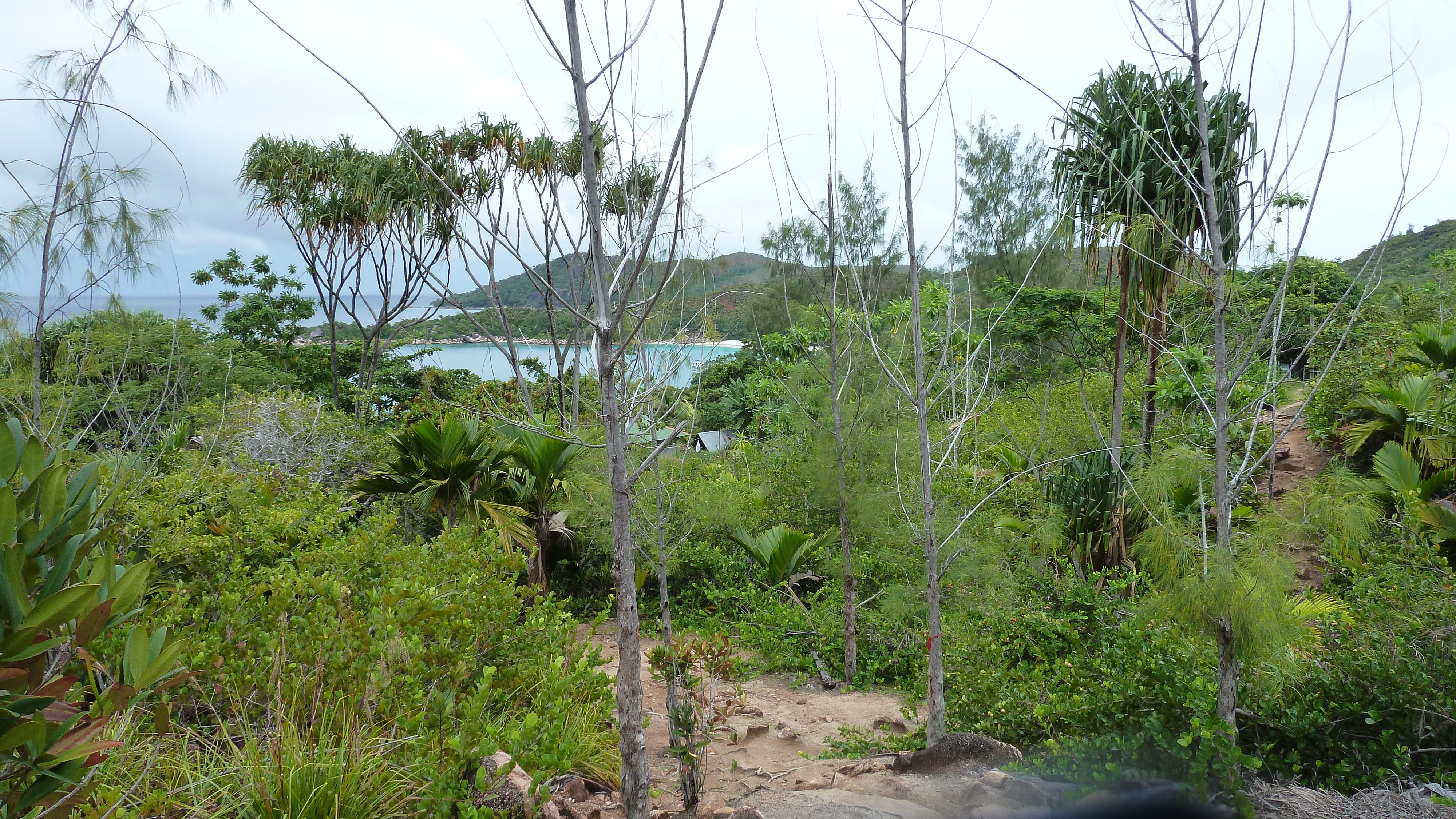 Photo Seychelles Anse Lazio 2011-10 14
