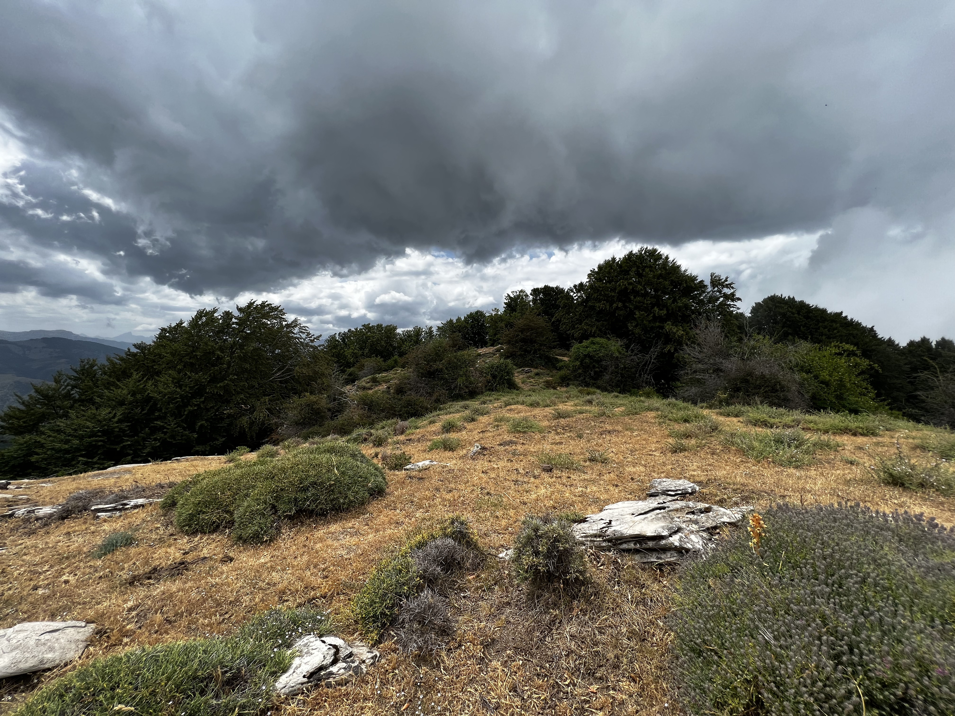 Photo France Corse Refuge de Callerucciu 2022-06 23