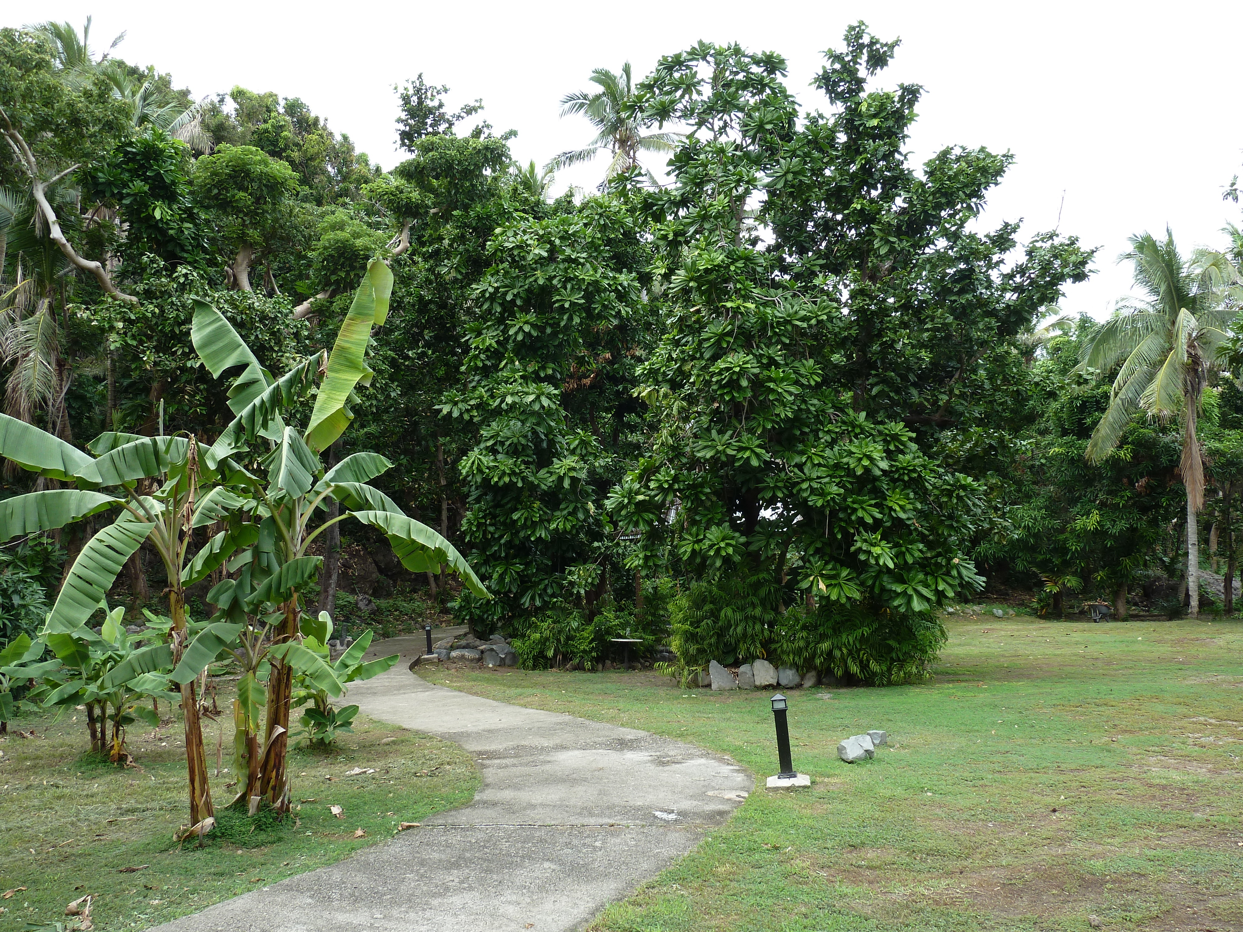 Photo Îles Fidji Amunuca Island Resort 2010-05 74