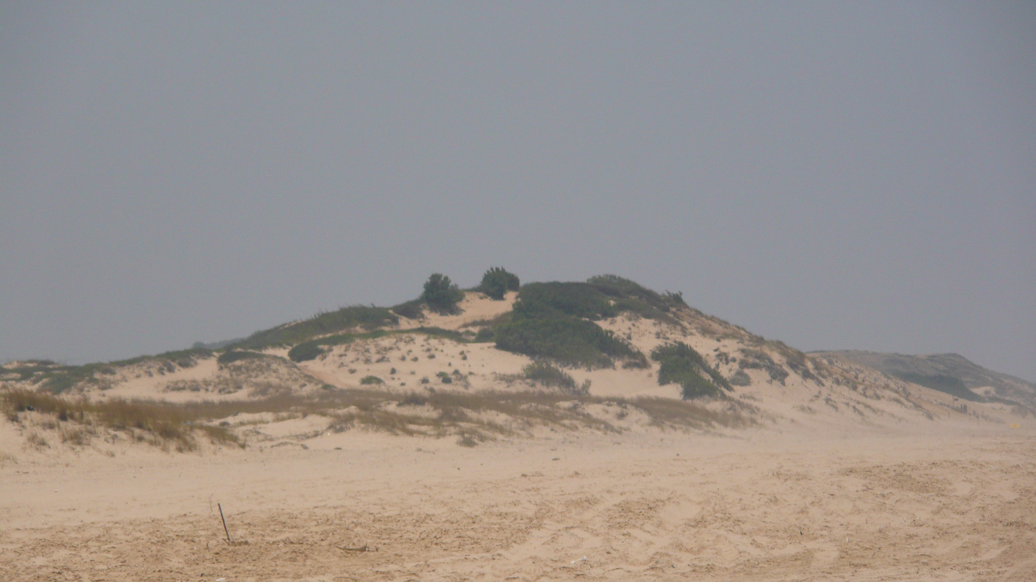 Photo Israel Nitzan 2007-06 29
