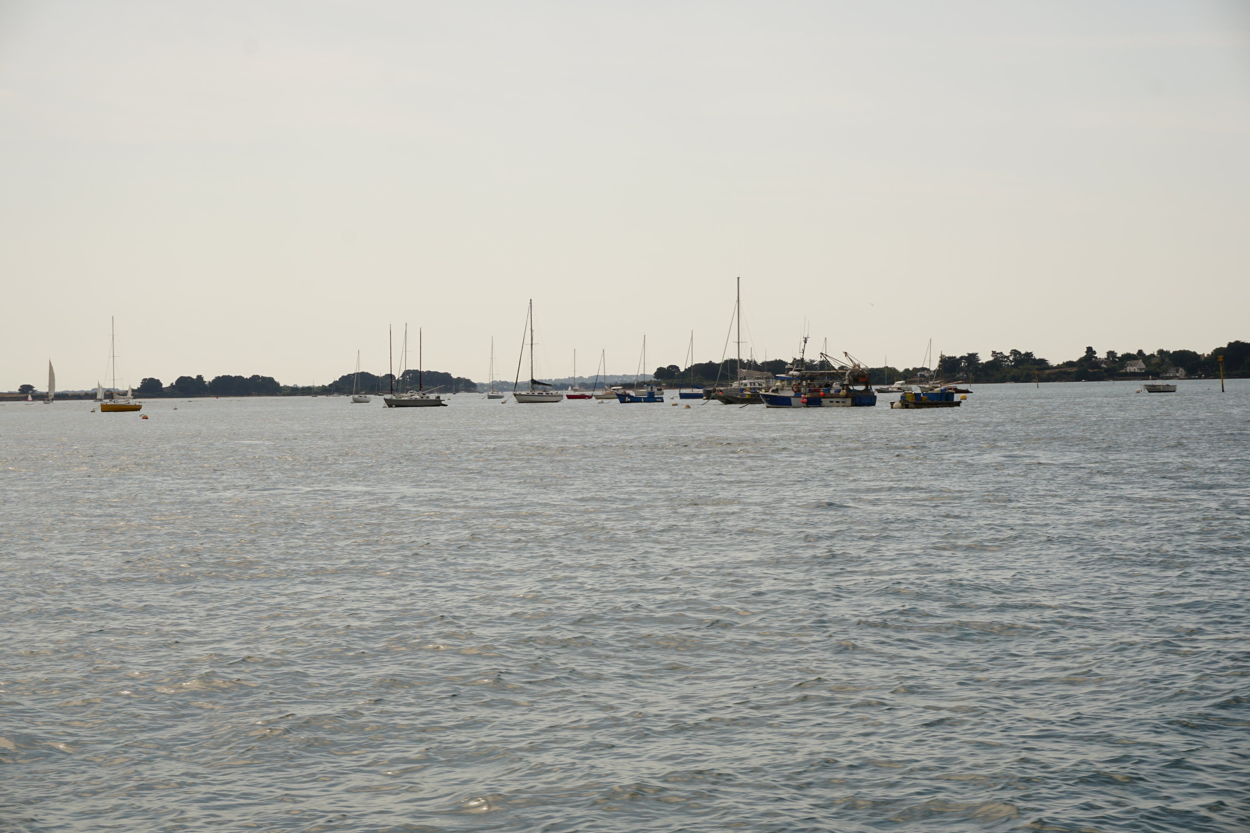 Photo France Golfe du Morbihan 2016-08 96