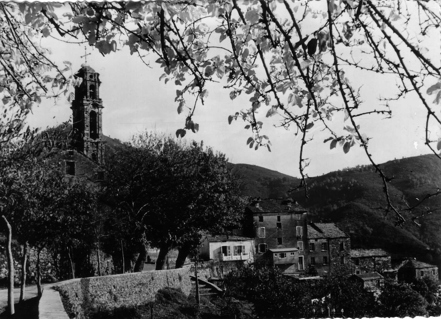 Photo France Corse Cartes postales anciennes 1900-01 143