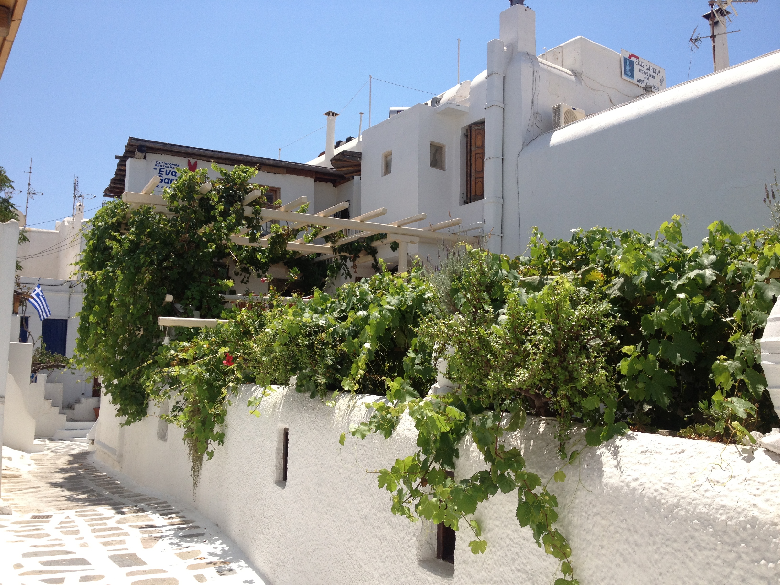 Photo Grèce Mykonos 2014-07 294