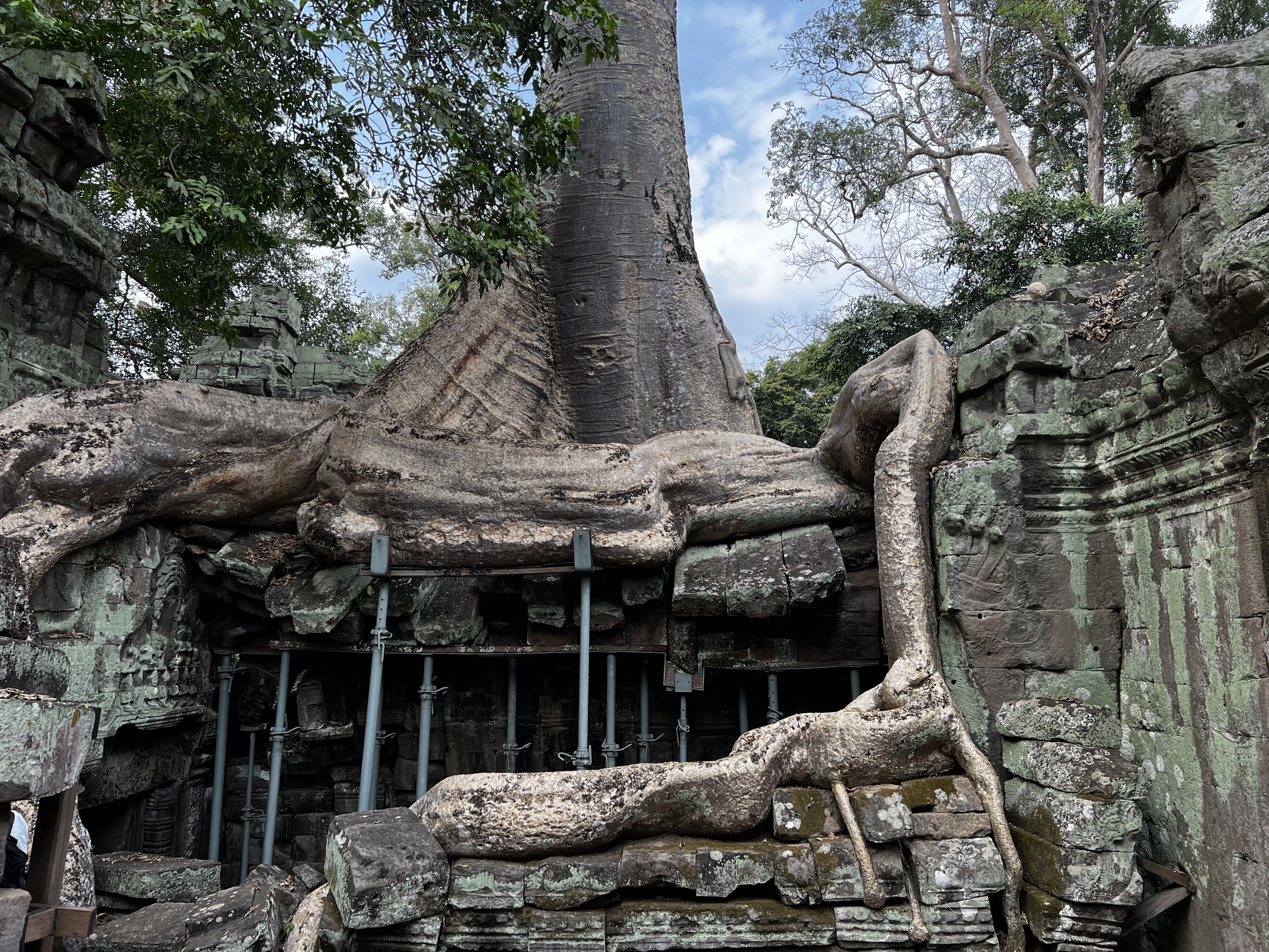 Photo Cambodge Siem Reap Ta Prohm 2023-01 33