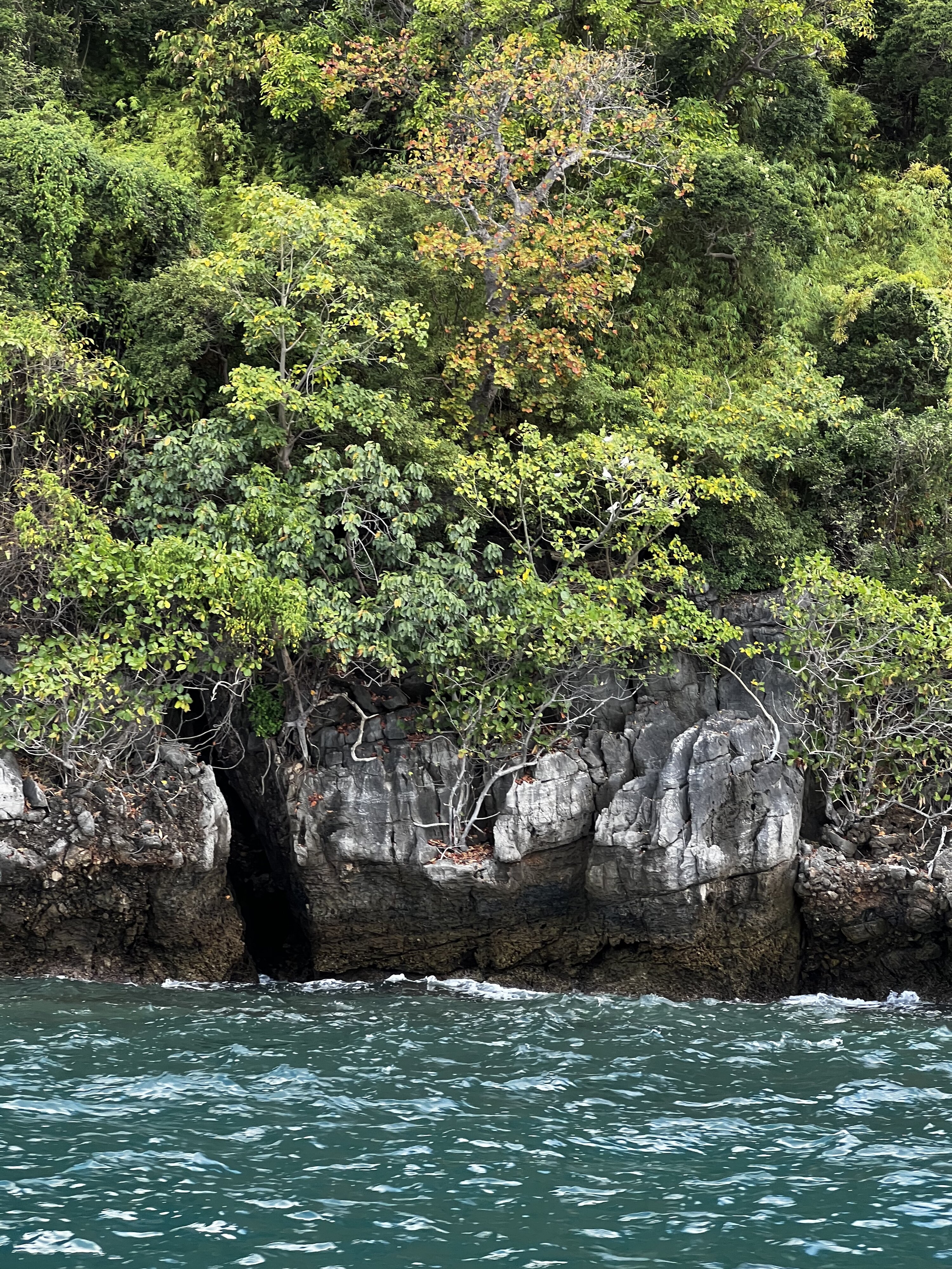 Photo Thaïlande Ko Phi Phi Ley 2021-12 82