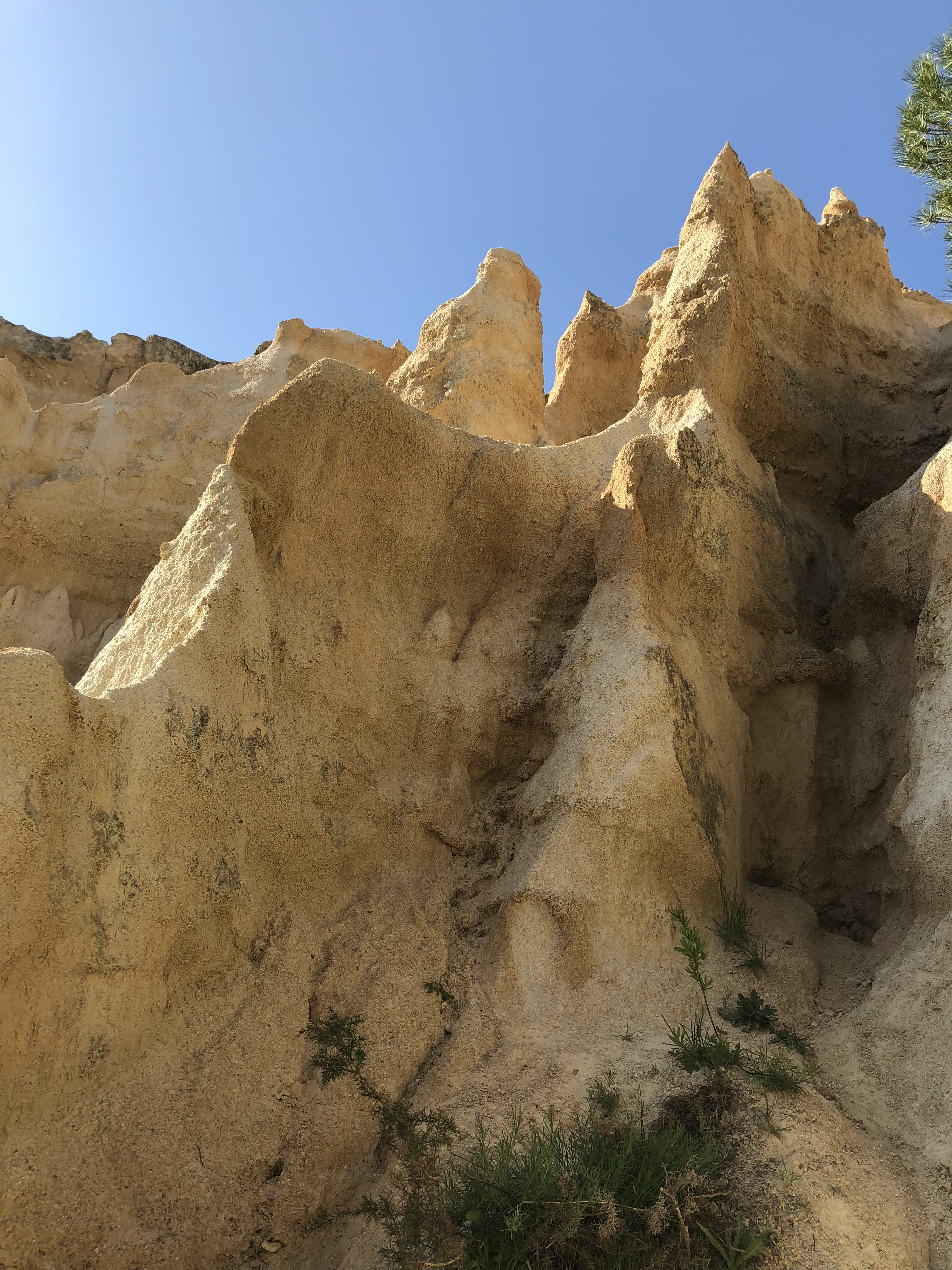 Photo France Orgues d'Ille Sur Tet 2018-04 83