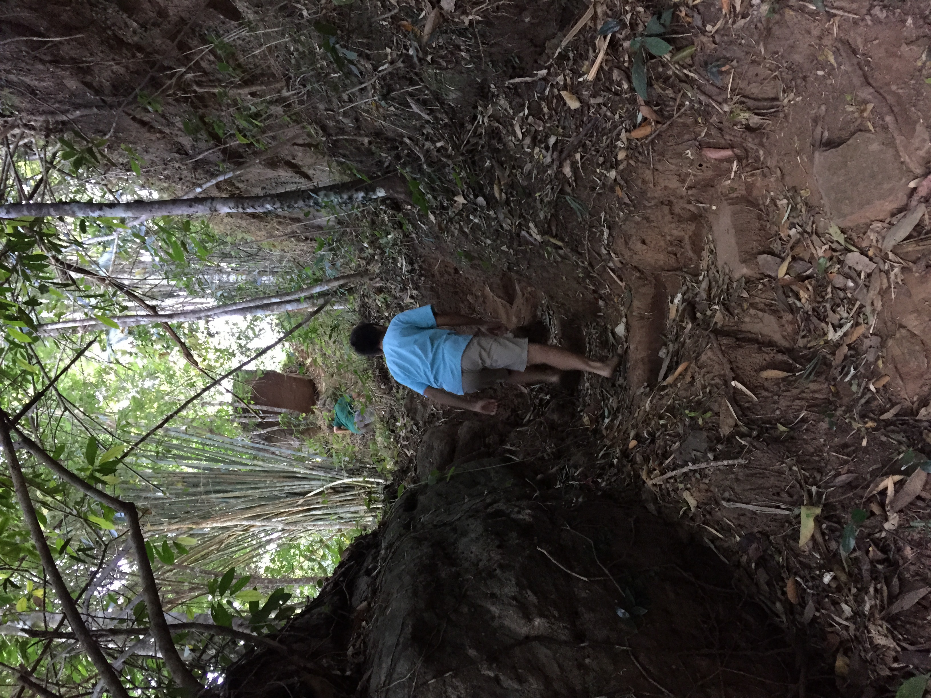 Photo Thaïlande Parc National Phu Hin Rong Kla 2014-12 320