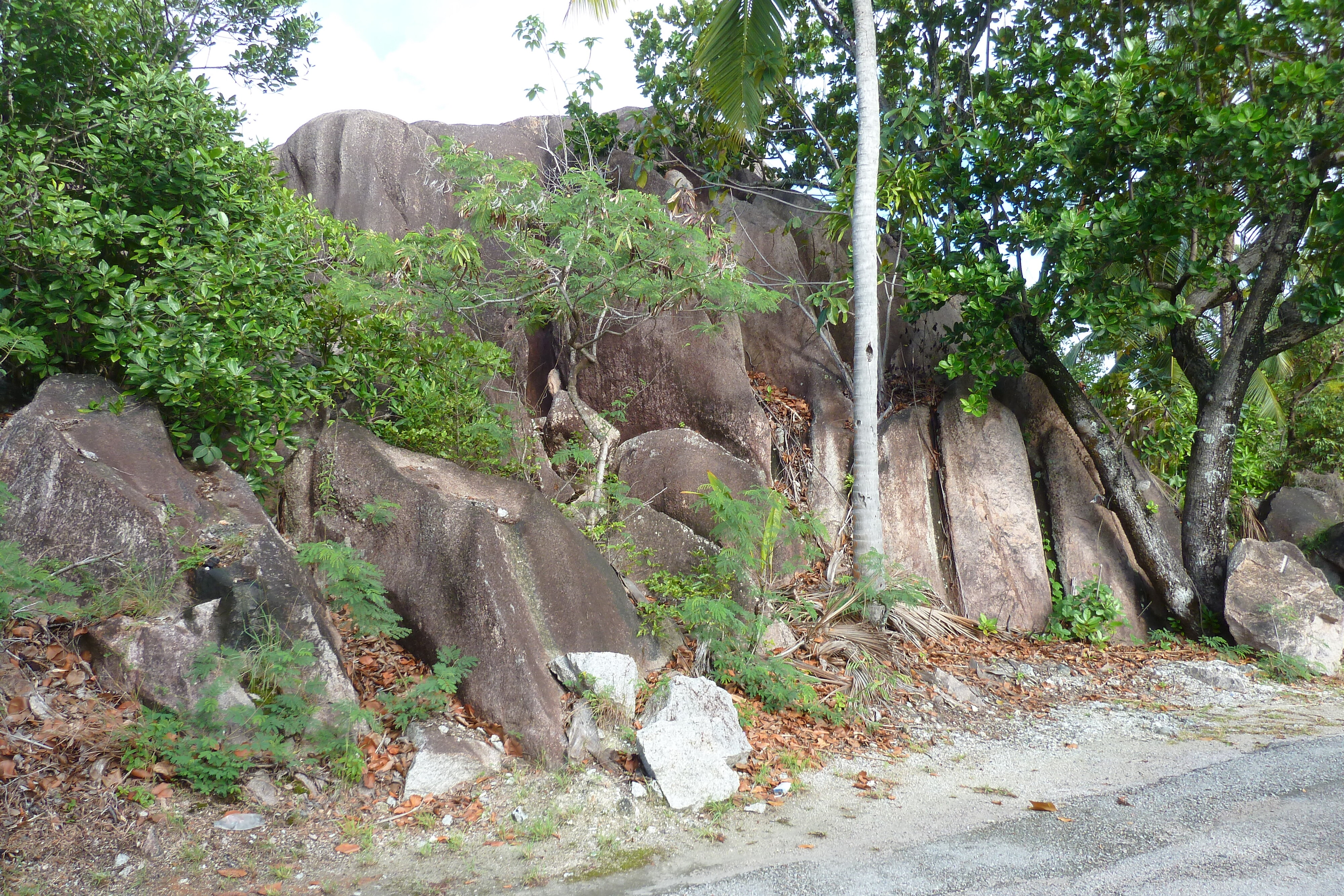 Photo Seychelles Praslin 2011-10 2