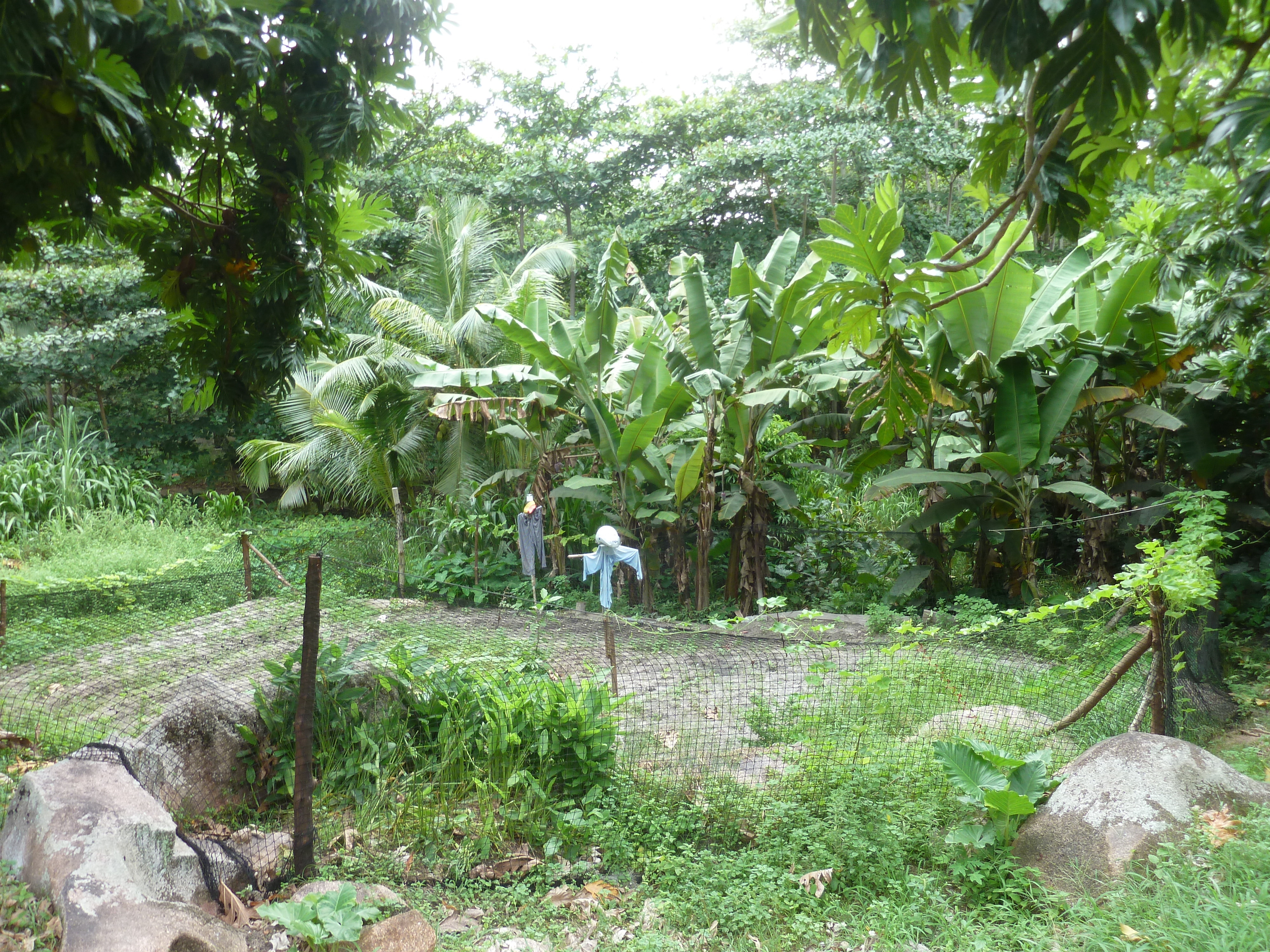 Photo Seychelles La Digue 2011-10 199