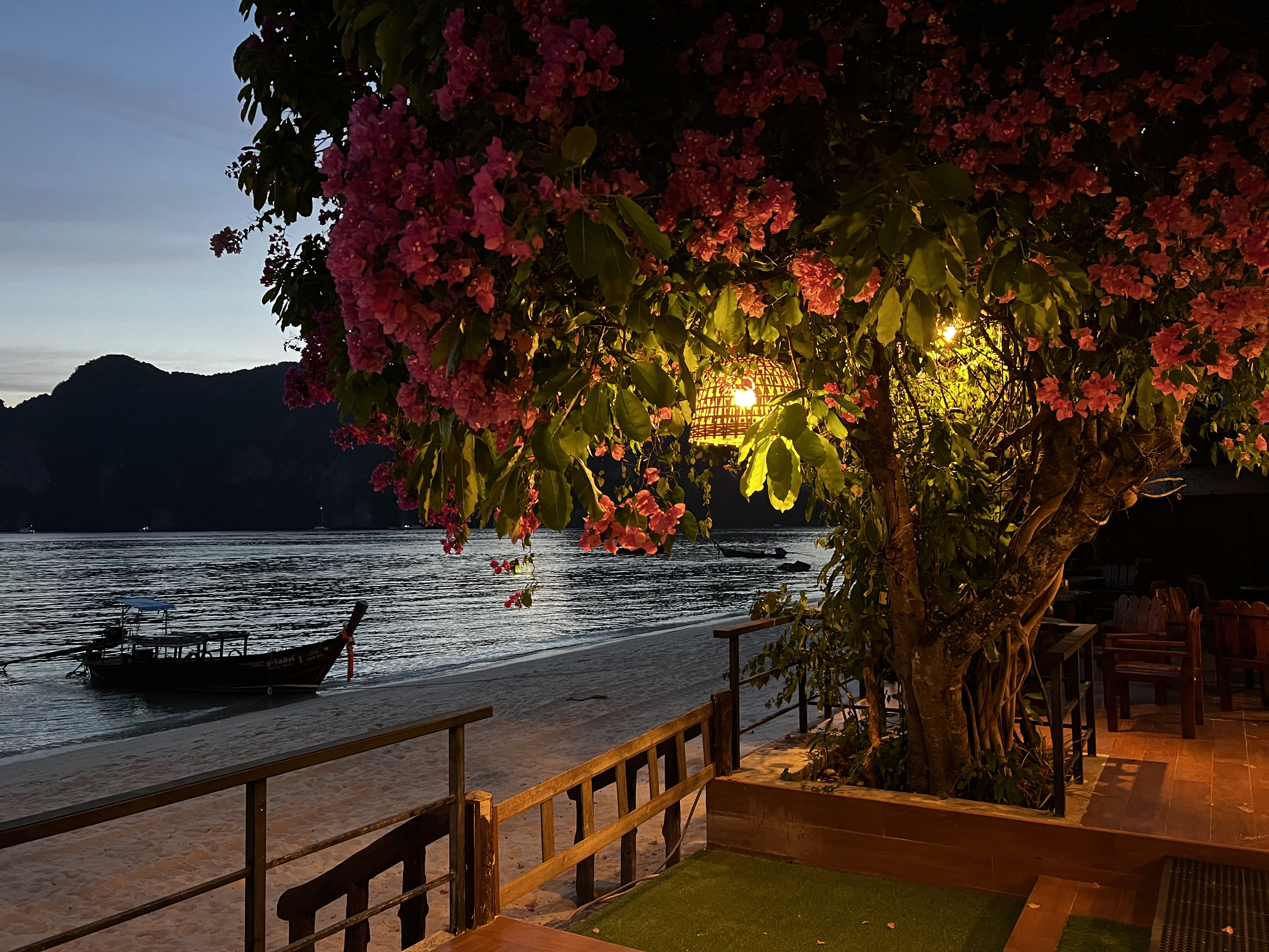 Photo Thaïlande Ko Phi Phi Don 2021-12 138