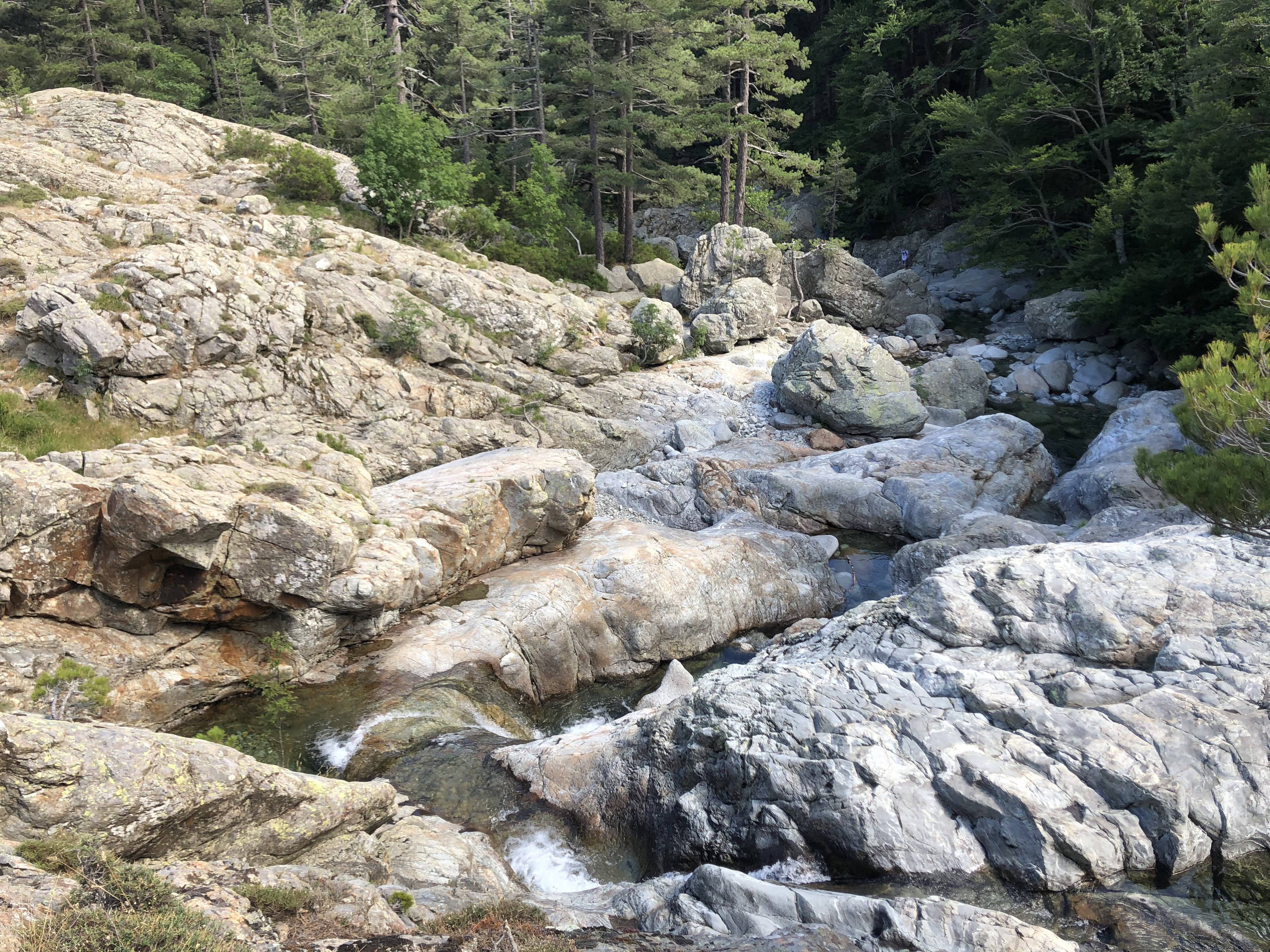 Photo France Corse Cascade des Anglais 2020-07 38