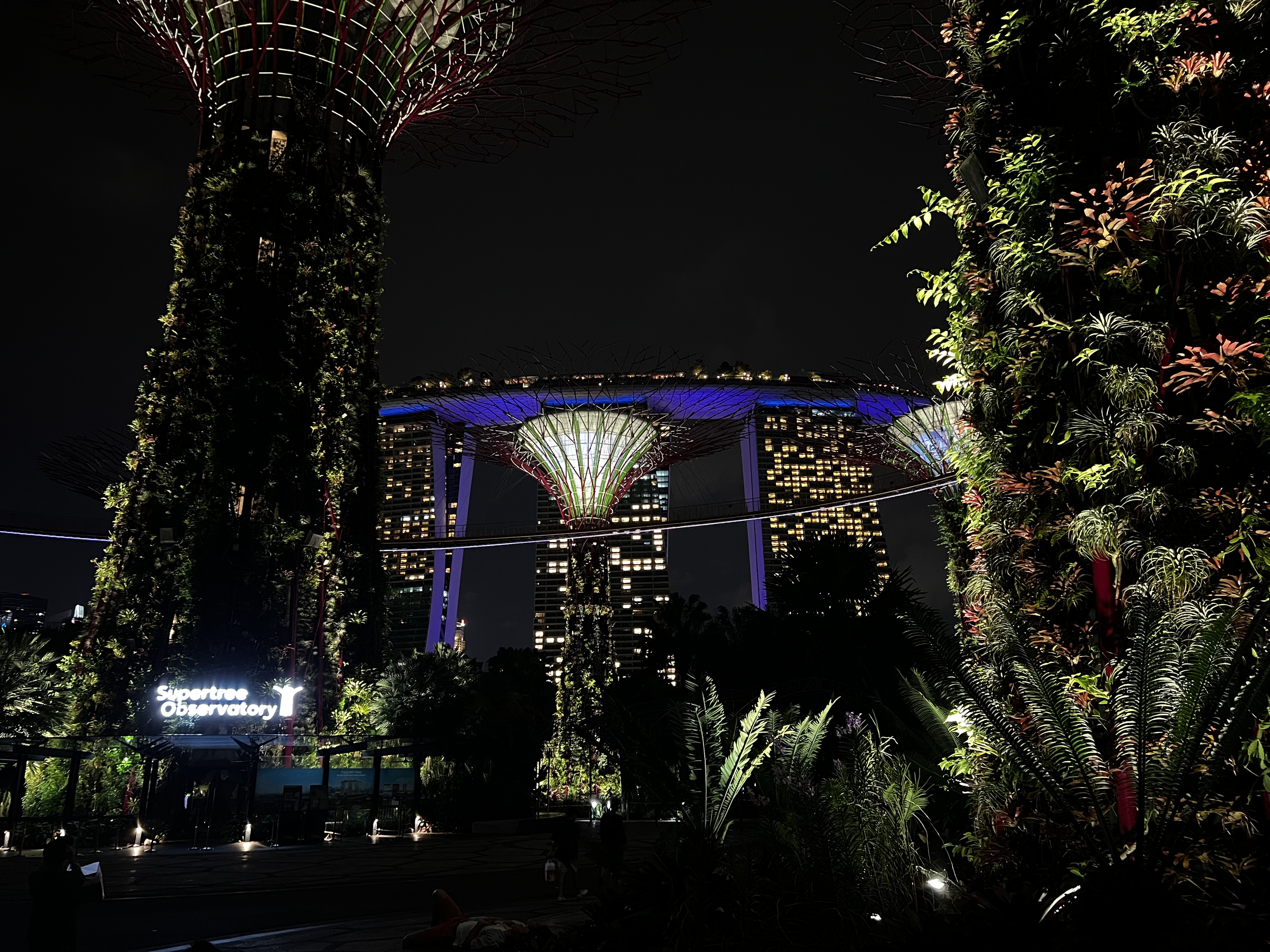 Photo Singapour Garden by the bay 2023-01 42