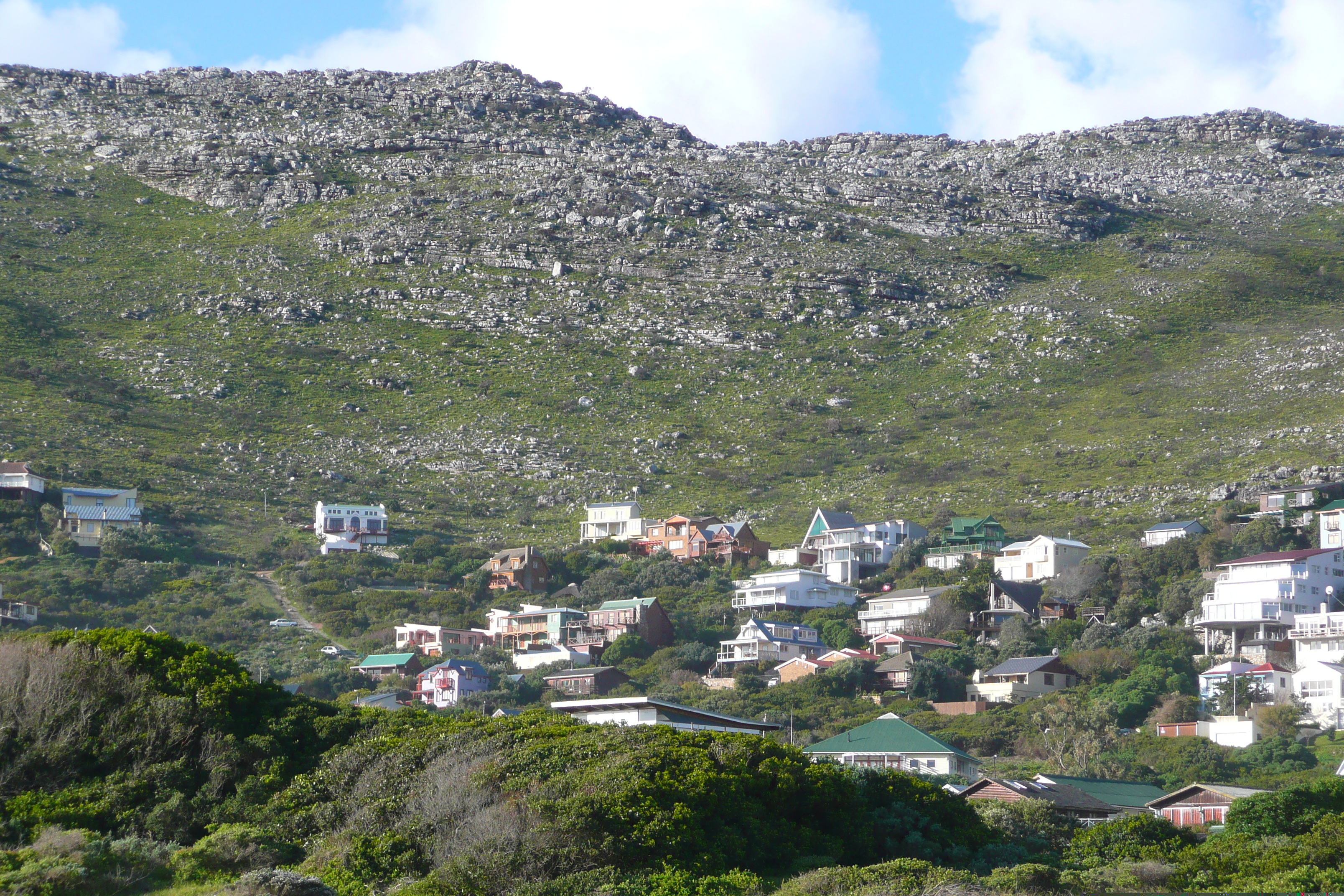 Photo Afrique du Sud Cap de Bonne Espérance 2008-09 125