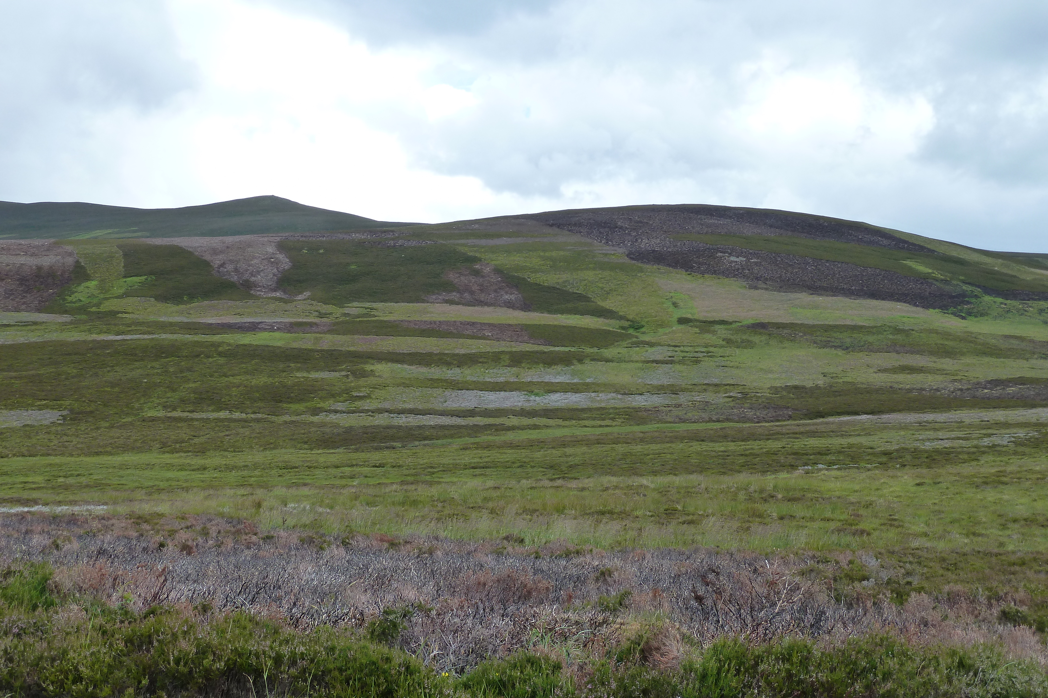Photo Royaume-Uni Les Cairngorms 2011-07 36