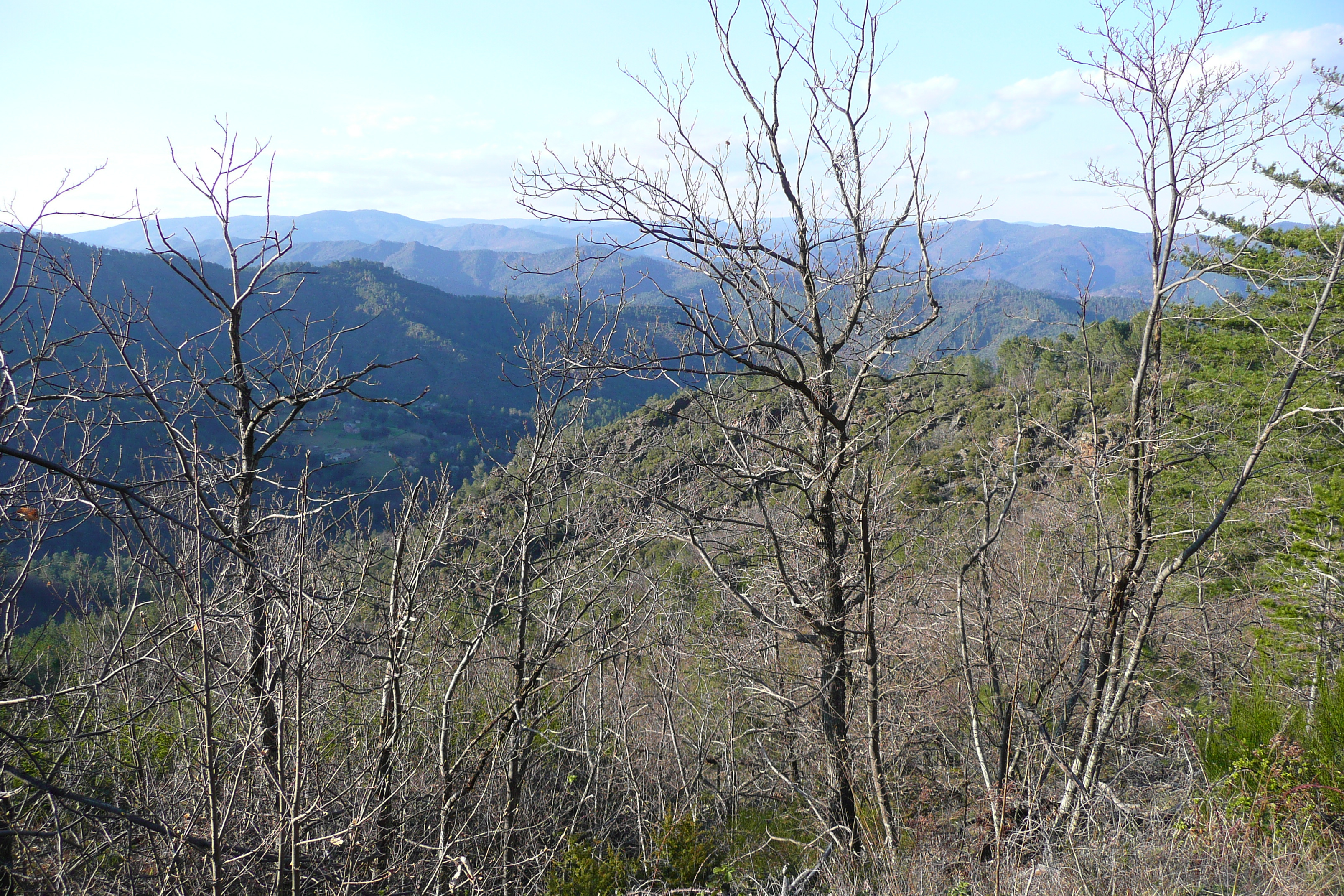 Photo France Les Cévennes 2008-04 102